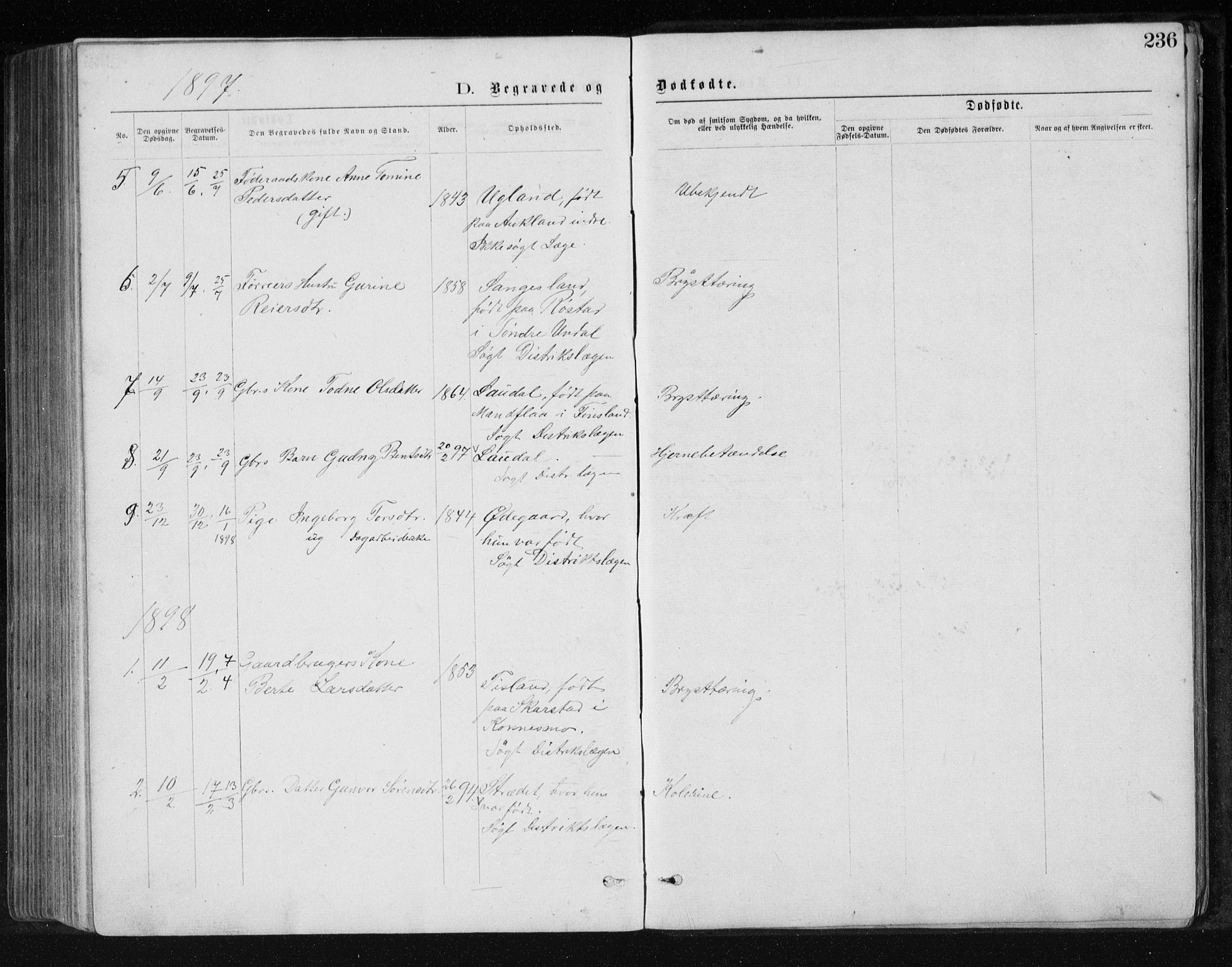 Holum sokneprestkontor, SAK/1111-0022/F/Fb/Fbb/L0003: Parish register (copy) no. B 3, 1875-1898, p. 236
