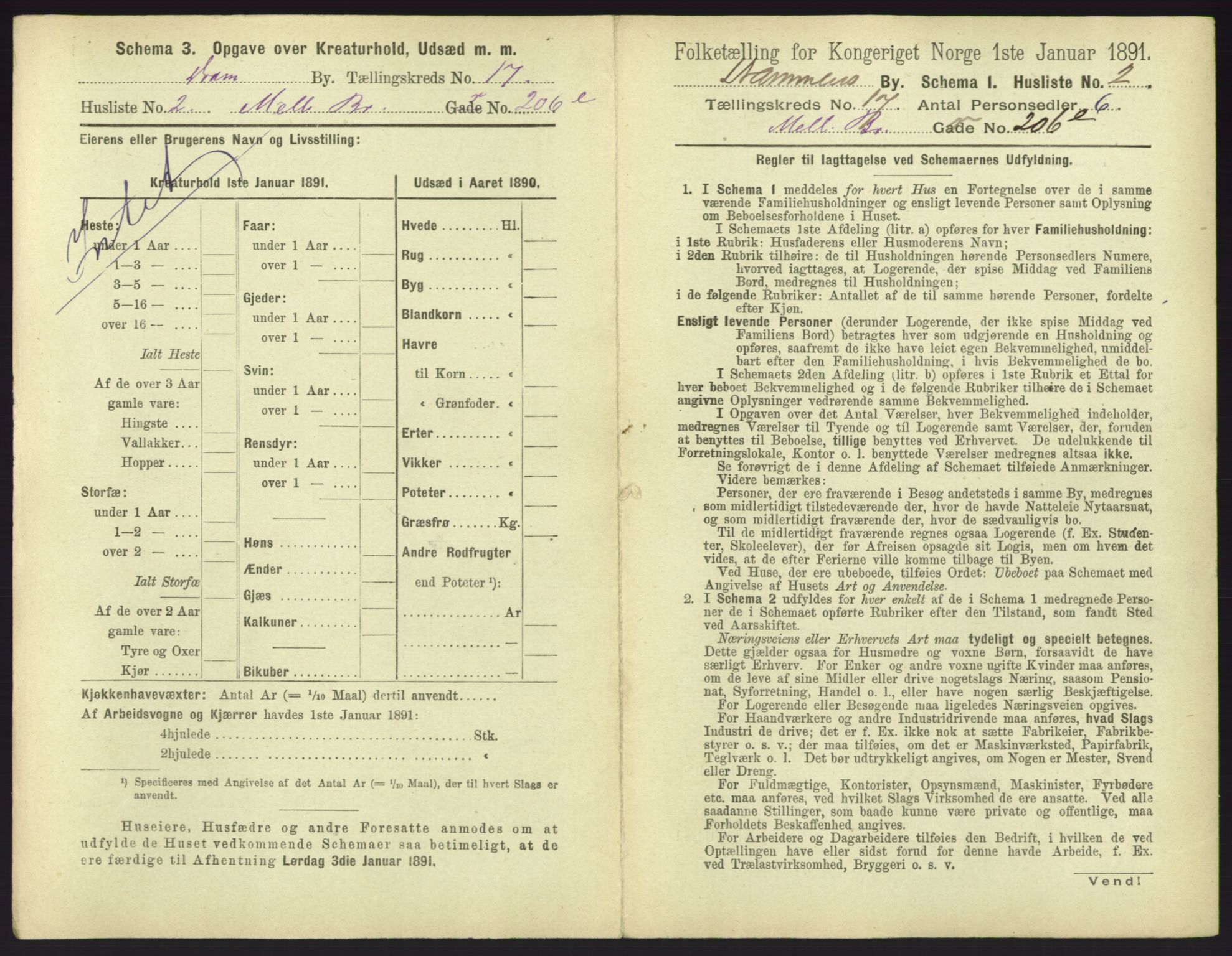 RA, 1891 census for 0602 Drammen, 1891, p. 1403