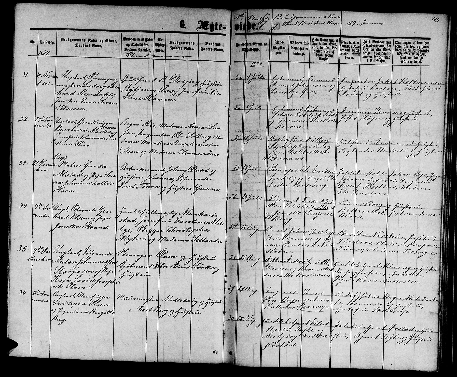 Ministerialprotokoller, klokkerbøker og fødselsregistre - Sør-Trøndelag, AV/SAT-A-1456/601/L0087: Parish register (copy) no. 601C05, 1864-1881, p. 213