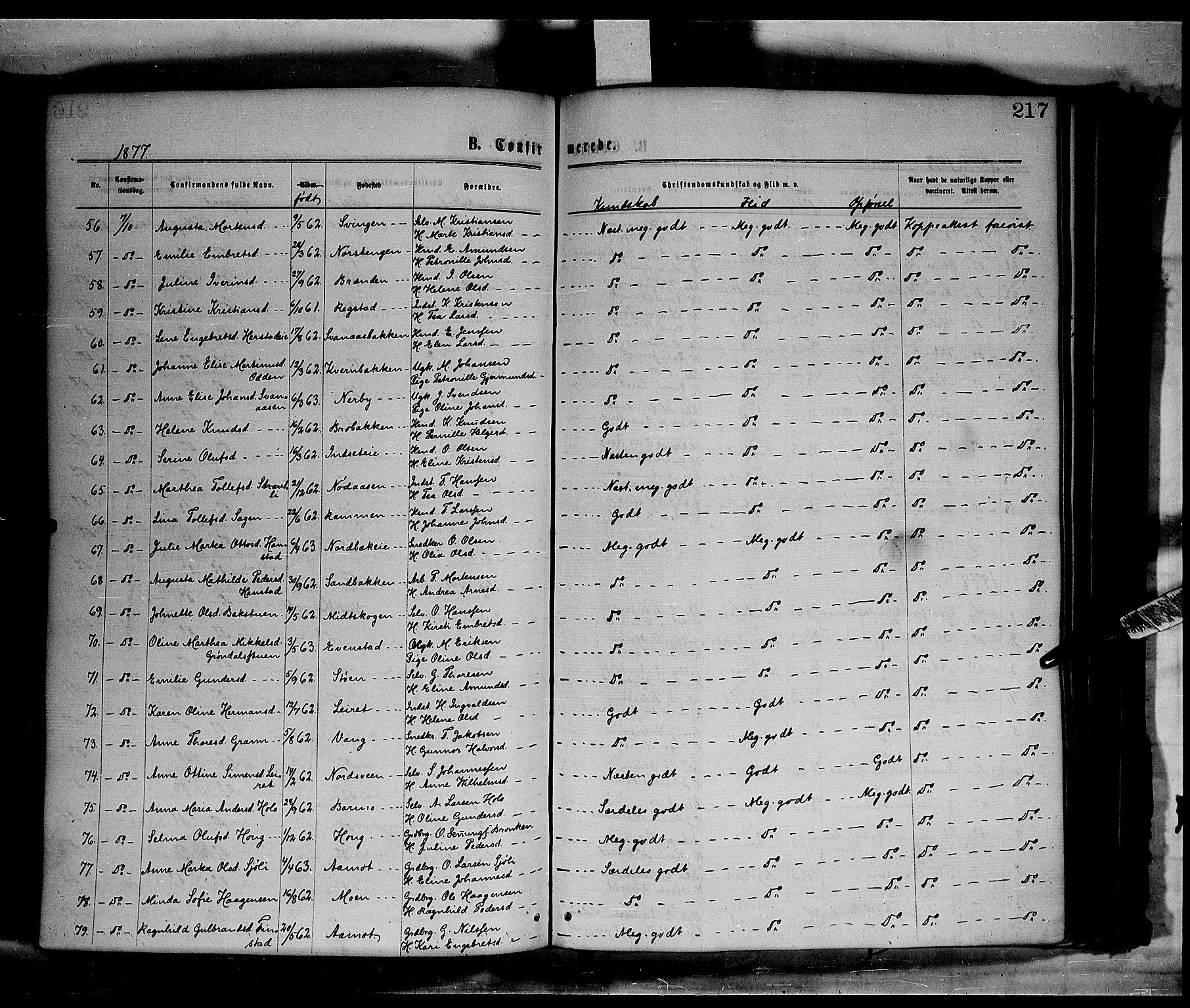 Elverum prestekontor, AV/SAH-PREST-044/H/Ha/Haa/L0011: Parish register (official) no. 11, 1869-1879, p. 217