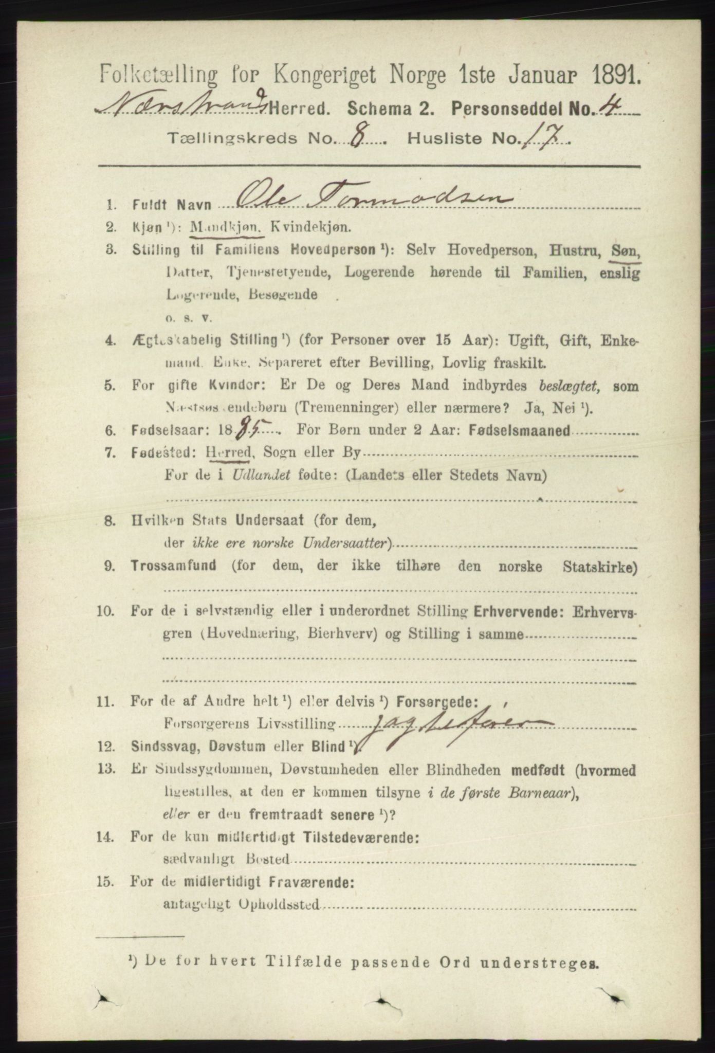 RA, 1891 census for 1139 Nedstrand, 1891, p. 1502