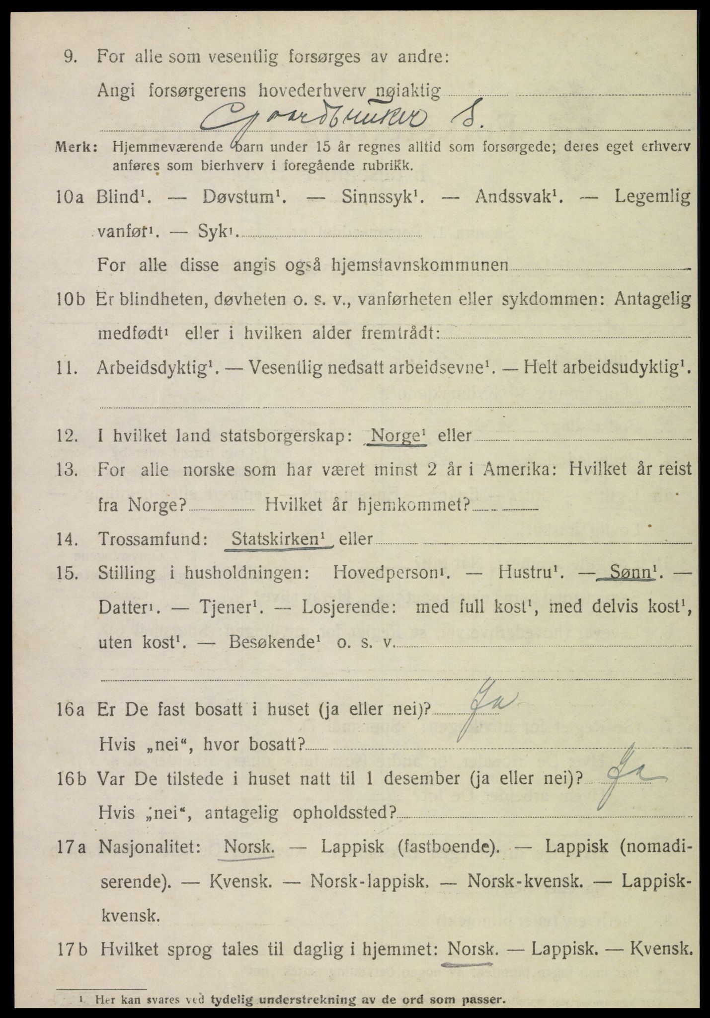 SAT, 1920 census for Røra, 1920, p. 1516