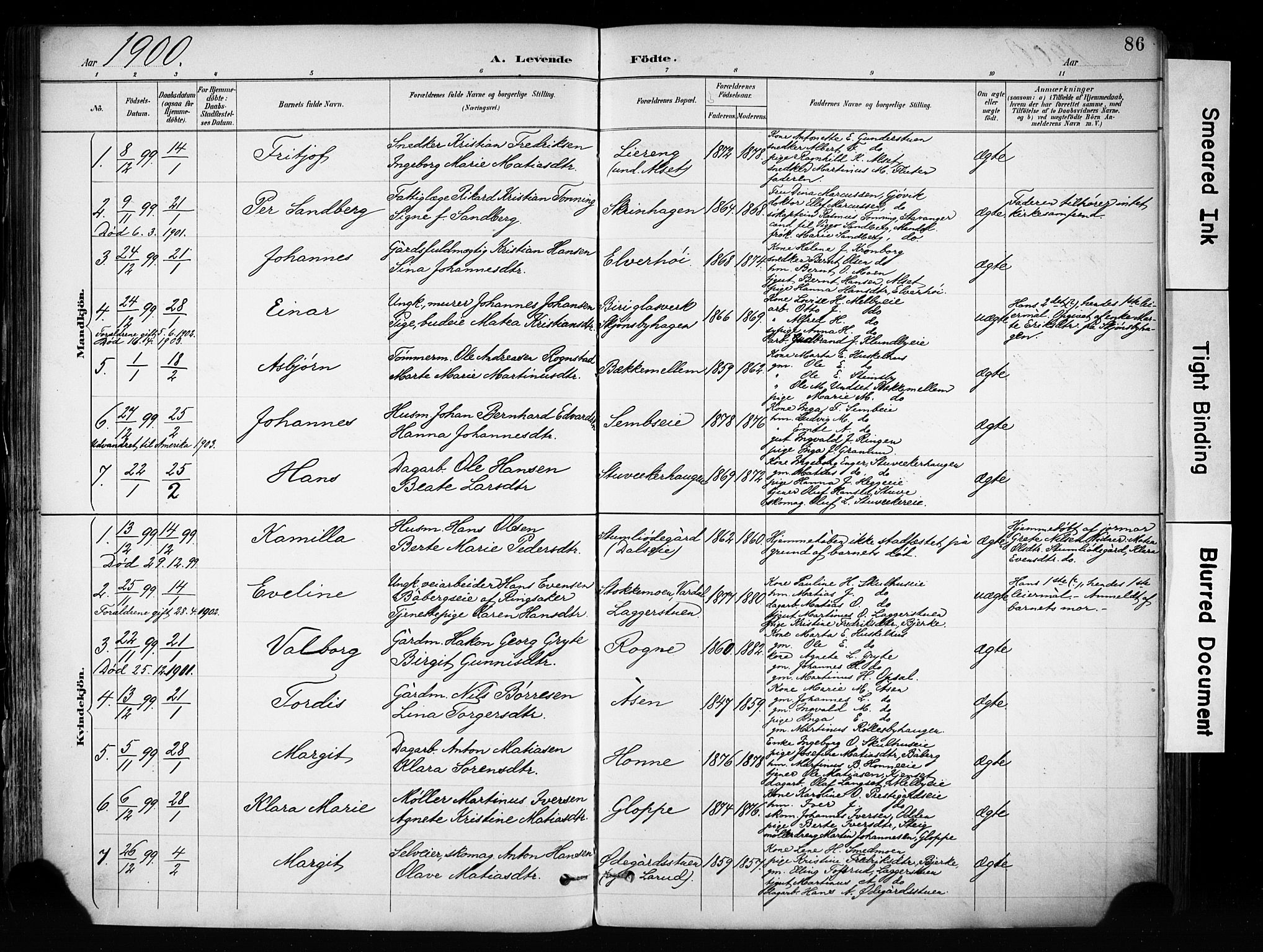 Biri prestekontor, SAH/PREST-096/H/Ha/Haa/L0009: Parish register (official) no. 9, 1887-1900, p. 86