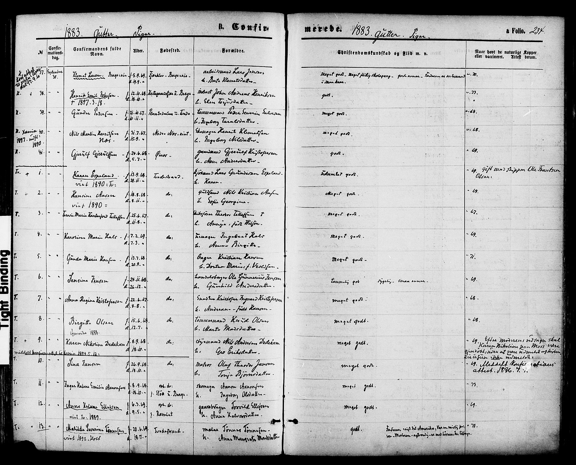 Holt sokneprestkontor, AV/SAK-1111-0021/F/Fa/L0010: Parish register (official) no. A 10, 1872-1885, p. 234