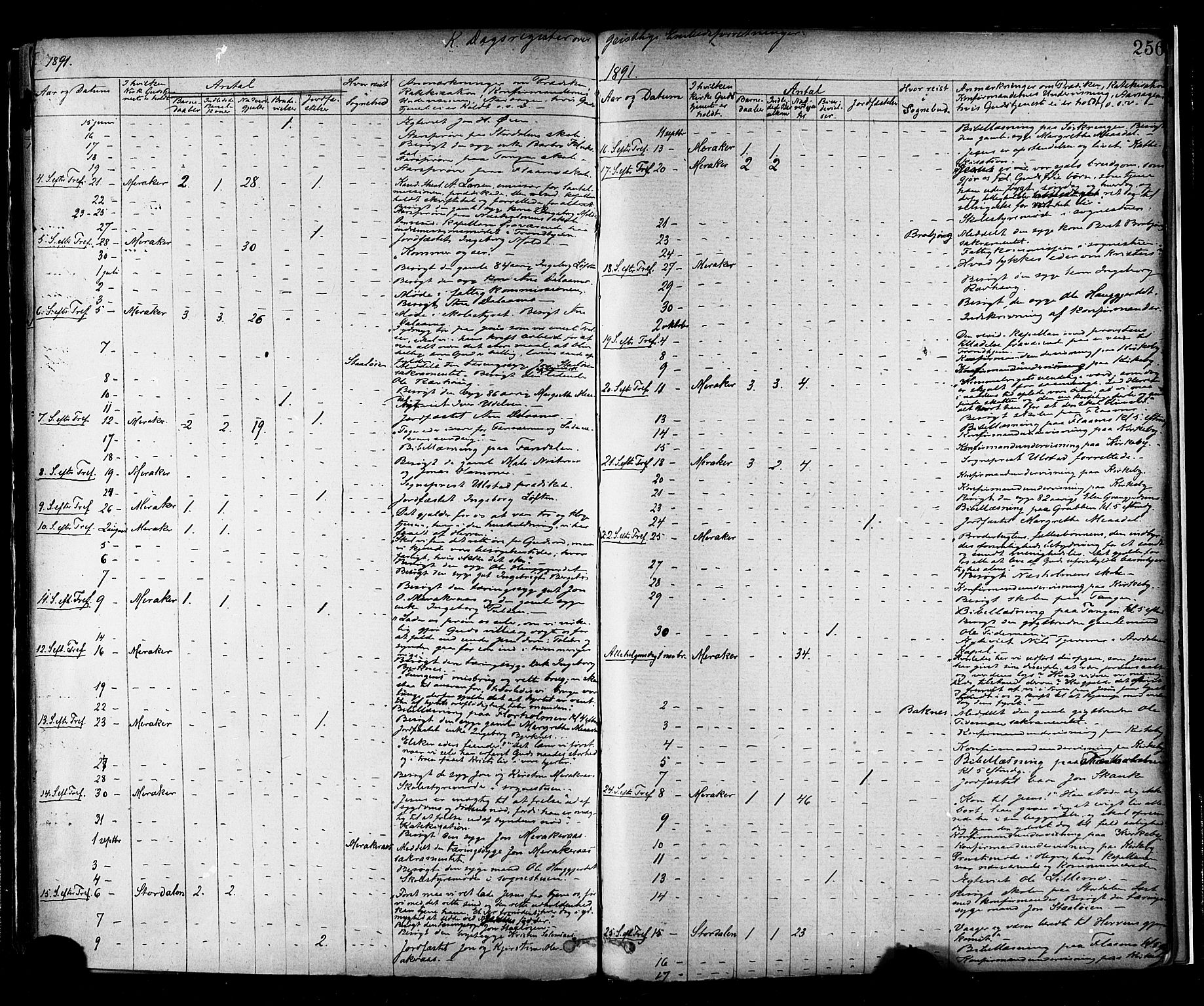 Ministerialprotokoller, klokkerbøker og fødselsregistre - Nord-Trøndelag, SAT/A-1458/706/L0047: Parish register (official) no. 706A03, 1878-1892, p. 256
