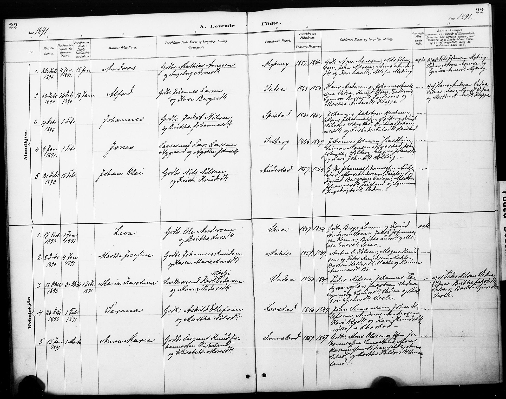 Haus sokneprestembete, AV/SAB-A-75601/H/Haa: Parish register (official) no. C 1, 1887-1899, p. 22