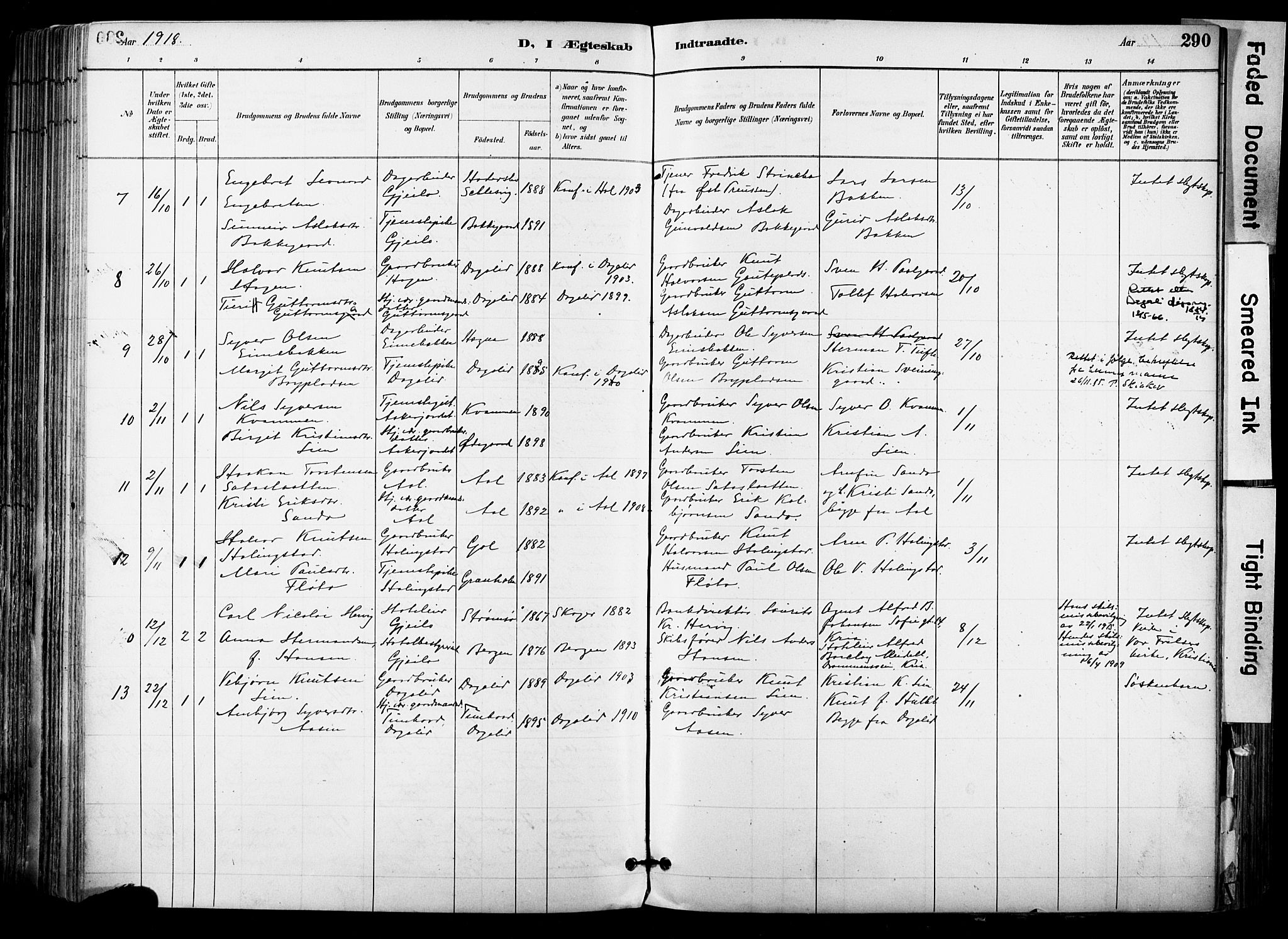Hol kirkebøker, SAKO/A-227/F/Fa/L0003: Parish register (official) no. I 3, 1887-1918, p. 290