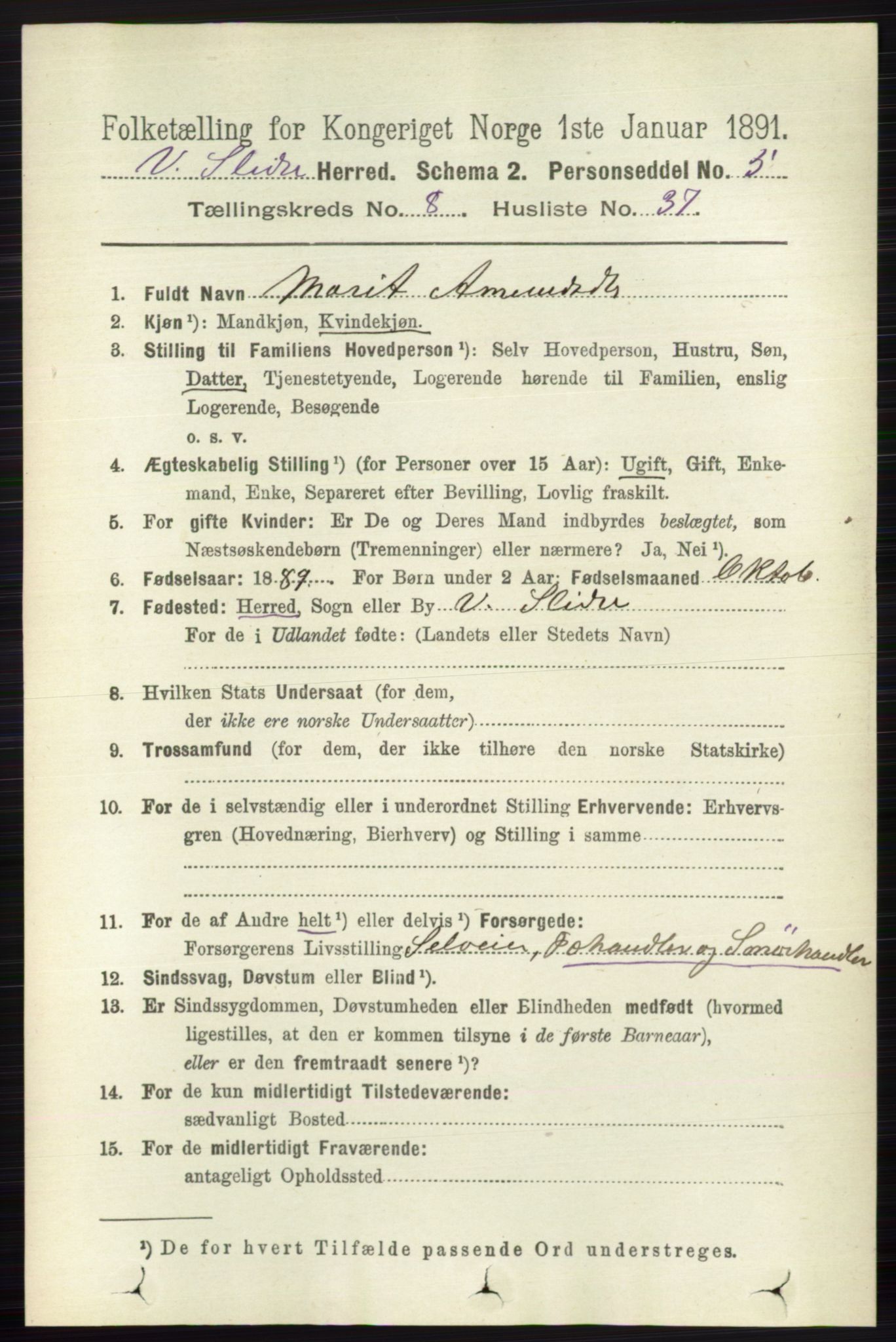 RA, 1891 census for 0543 Vestre Slidre, 1891, p. 3180