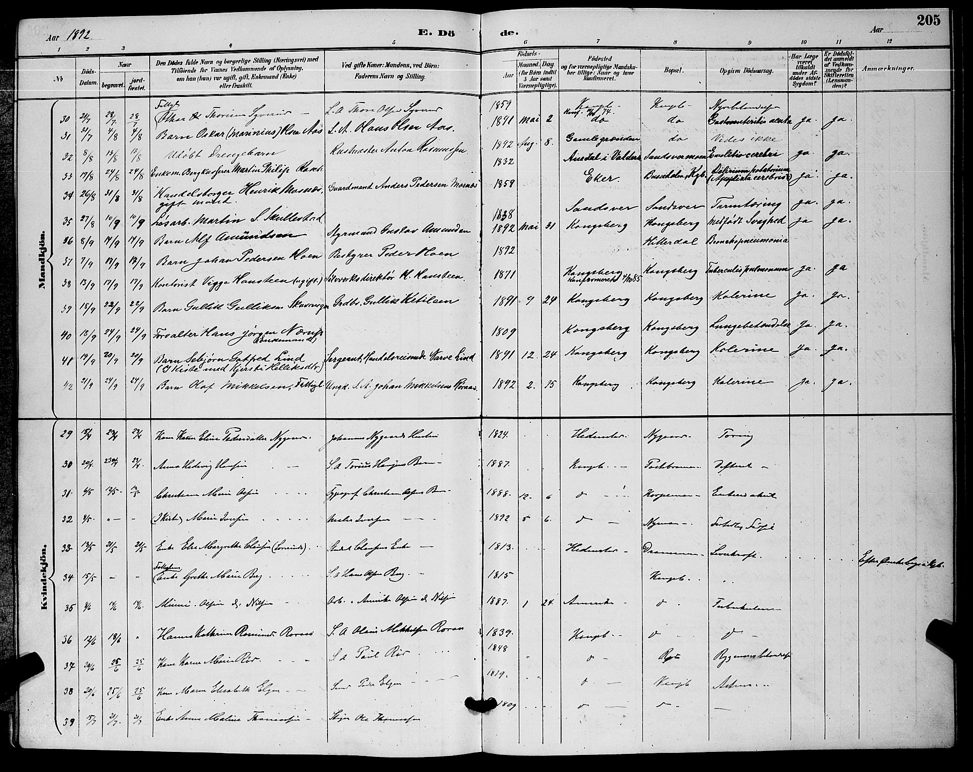 Kongsberg kirkebøker, AV/SAKO-A-22/G/Ga/L0006: Parish register (copy) no. 6, 1890-1901, p. 205