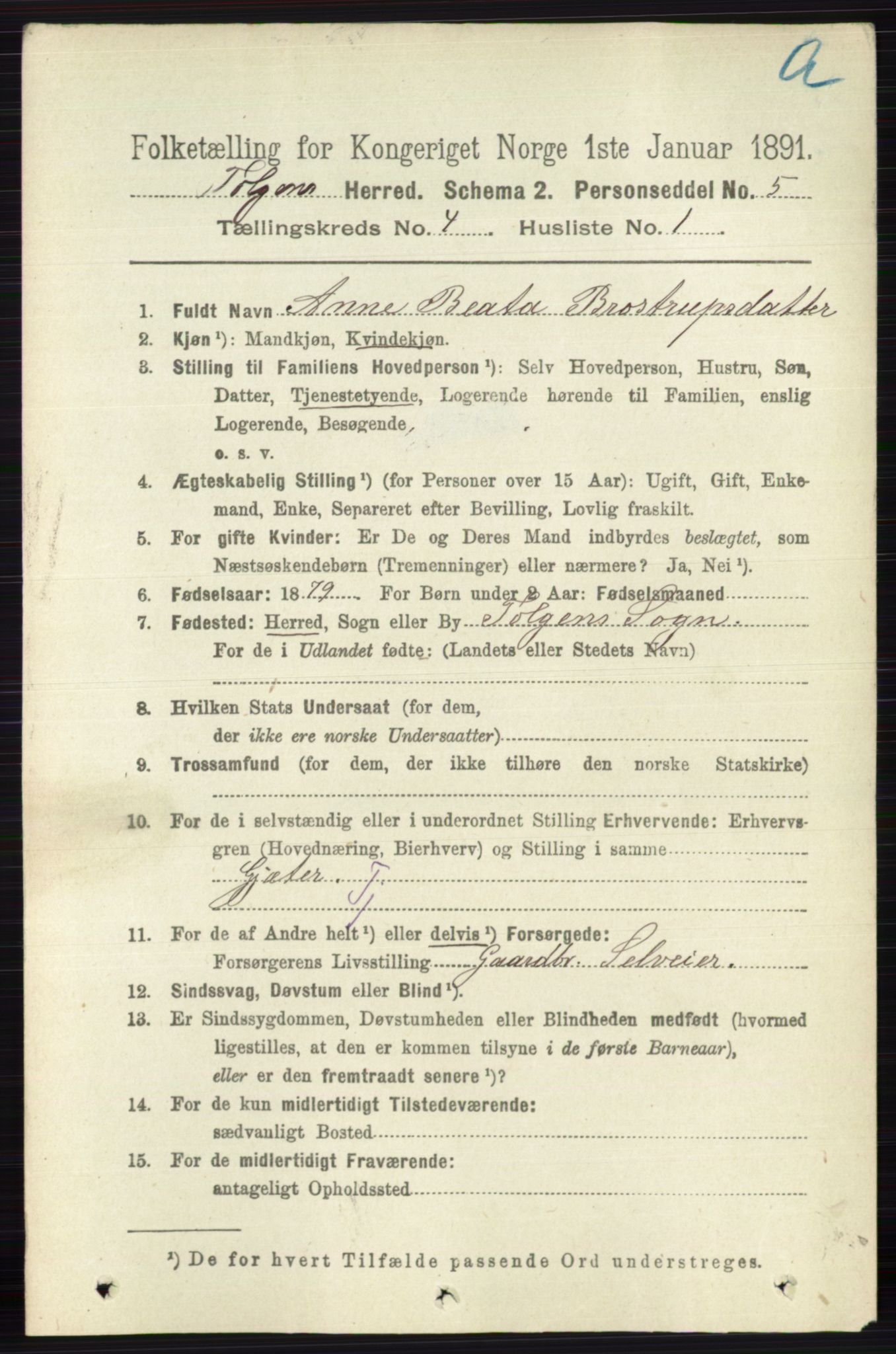 RA, 1891 census for 0436 Tolga, 1891, p. 882