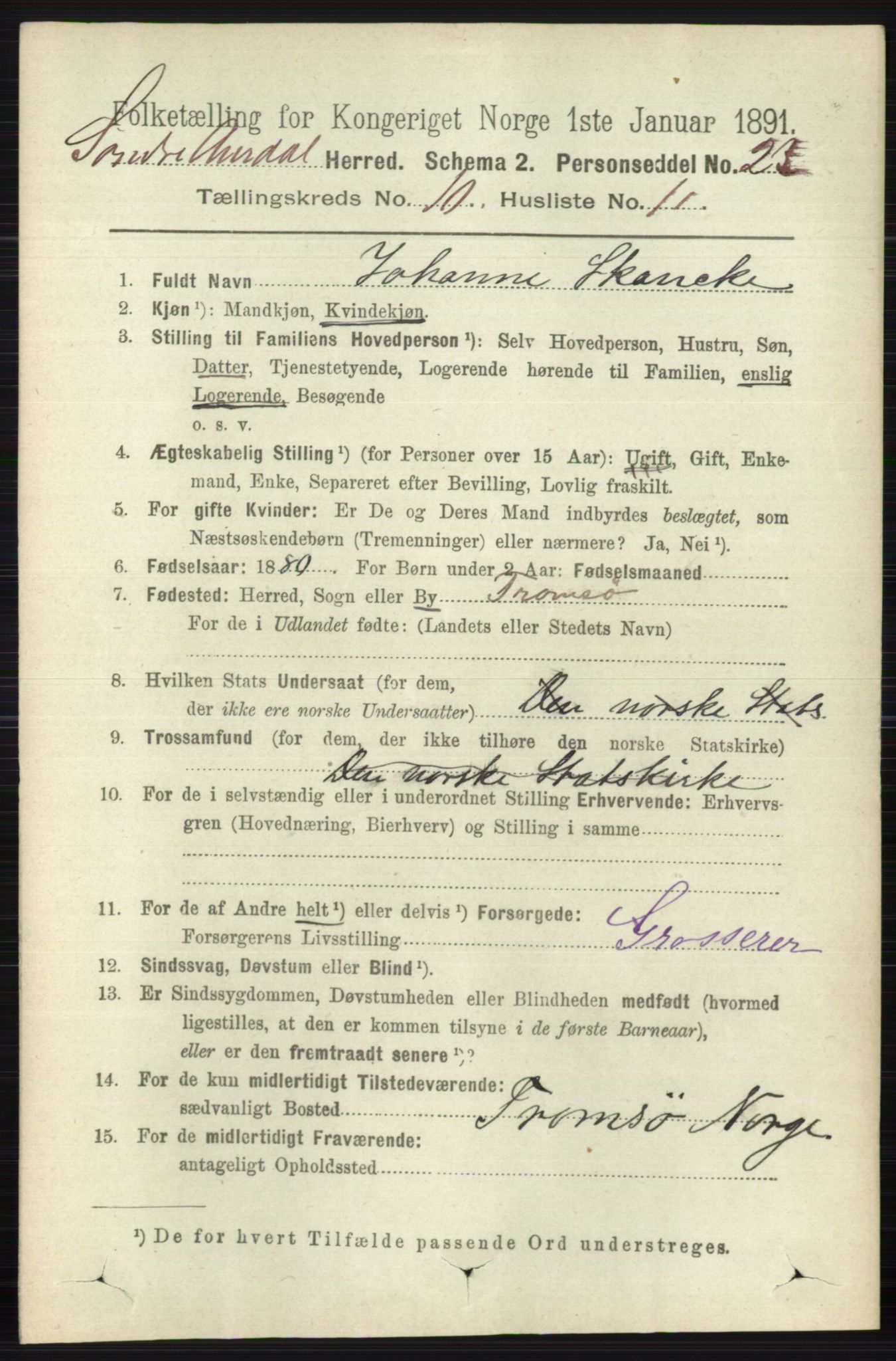 RA, 1891 census for 0540 Sør-Aurdal, 1891, p. 5956