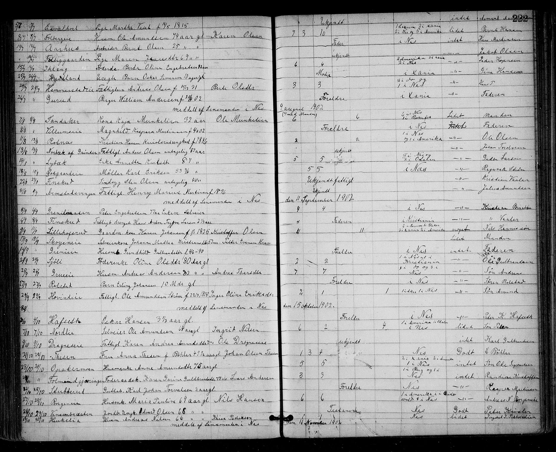 Nes tingrett, AV/SAO-A-10548/H/Ha/Haa/L0001: Dødsfallsprotokoll, 1876-1905, p. 222