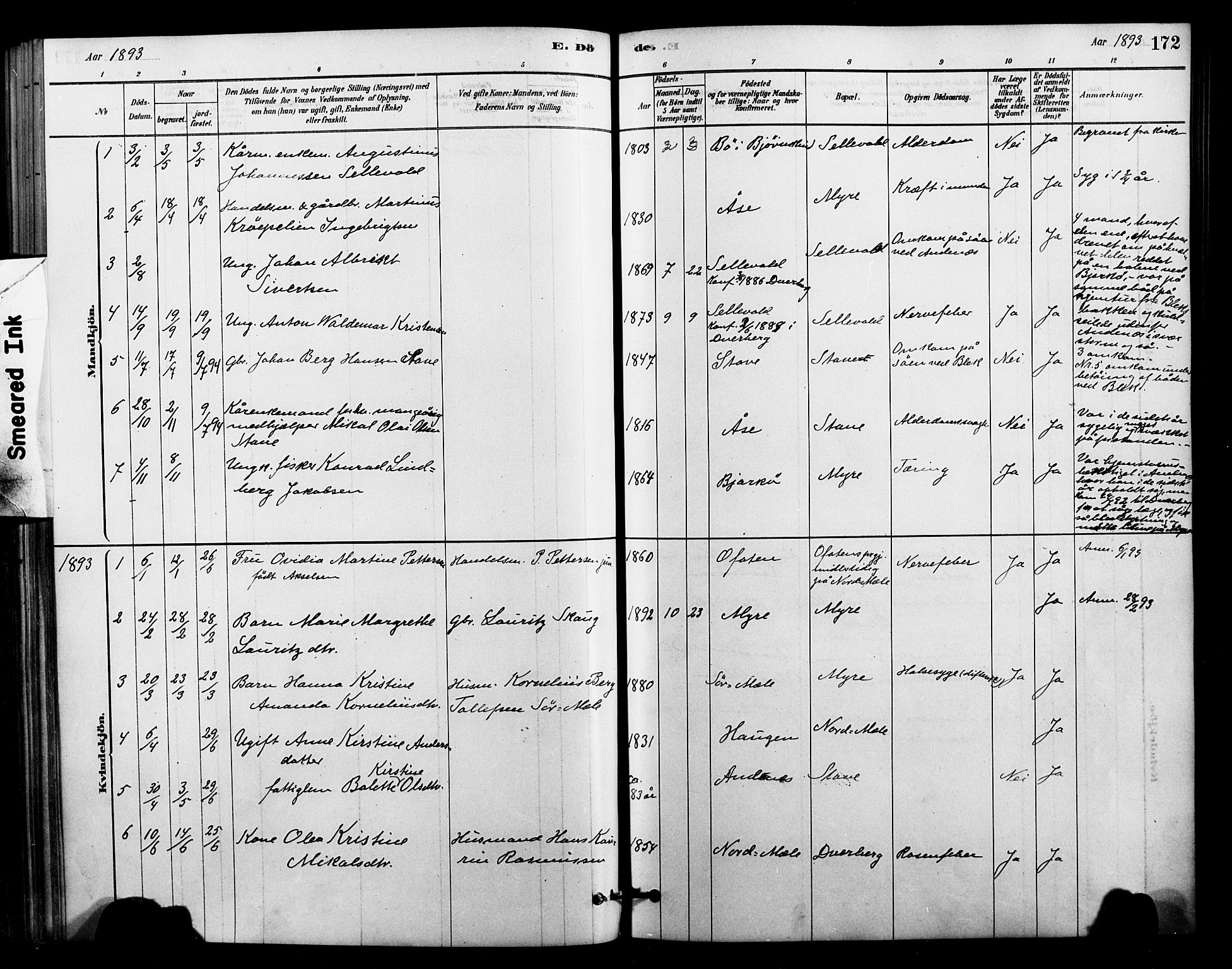 Ministerialprotokoller, klokkerbøker og fødselsregistre - Nordland, AV/SAT-A-1459/897/L1399: Parish register (official) no. 897C06, 1881-1896, p. 172