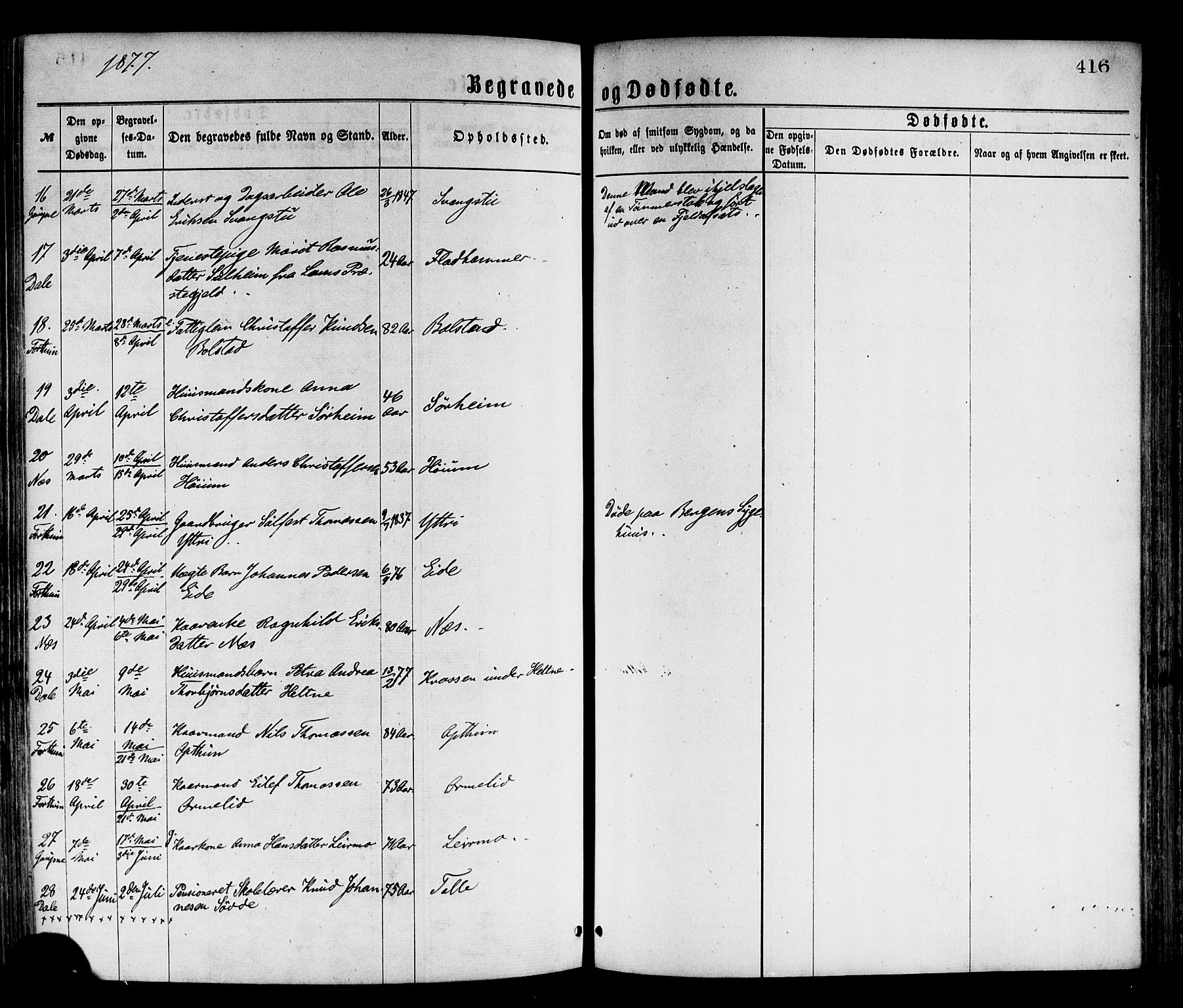 Luster sokneprestembete, SAB/A-81101/H/Haa/Haaa/L0010: Parish register (official) no. A 10, 1871-1886, p. 416