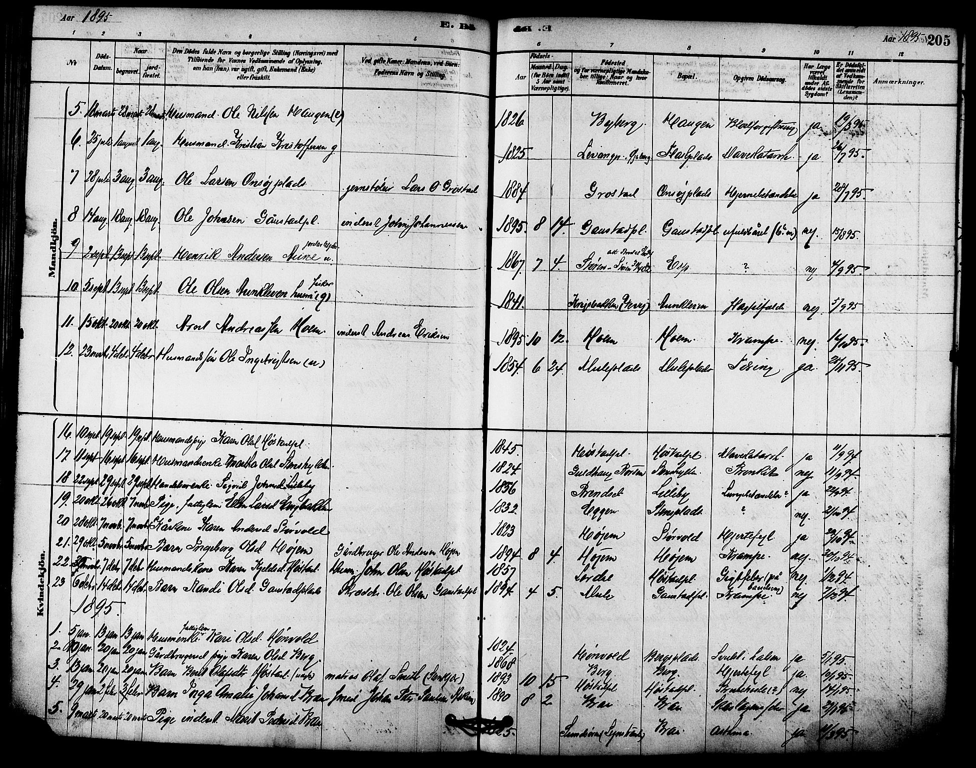Ministerialprotokoller, klokkerbøker og fødselsregistre - Sør-Trøndelag, SAT/A-1456/612/L0378: Parish register (official) no. 612A10, 1878-1897, p. 205