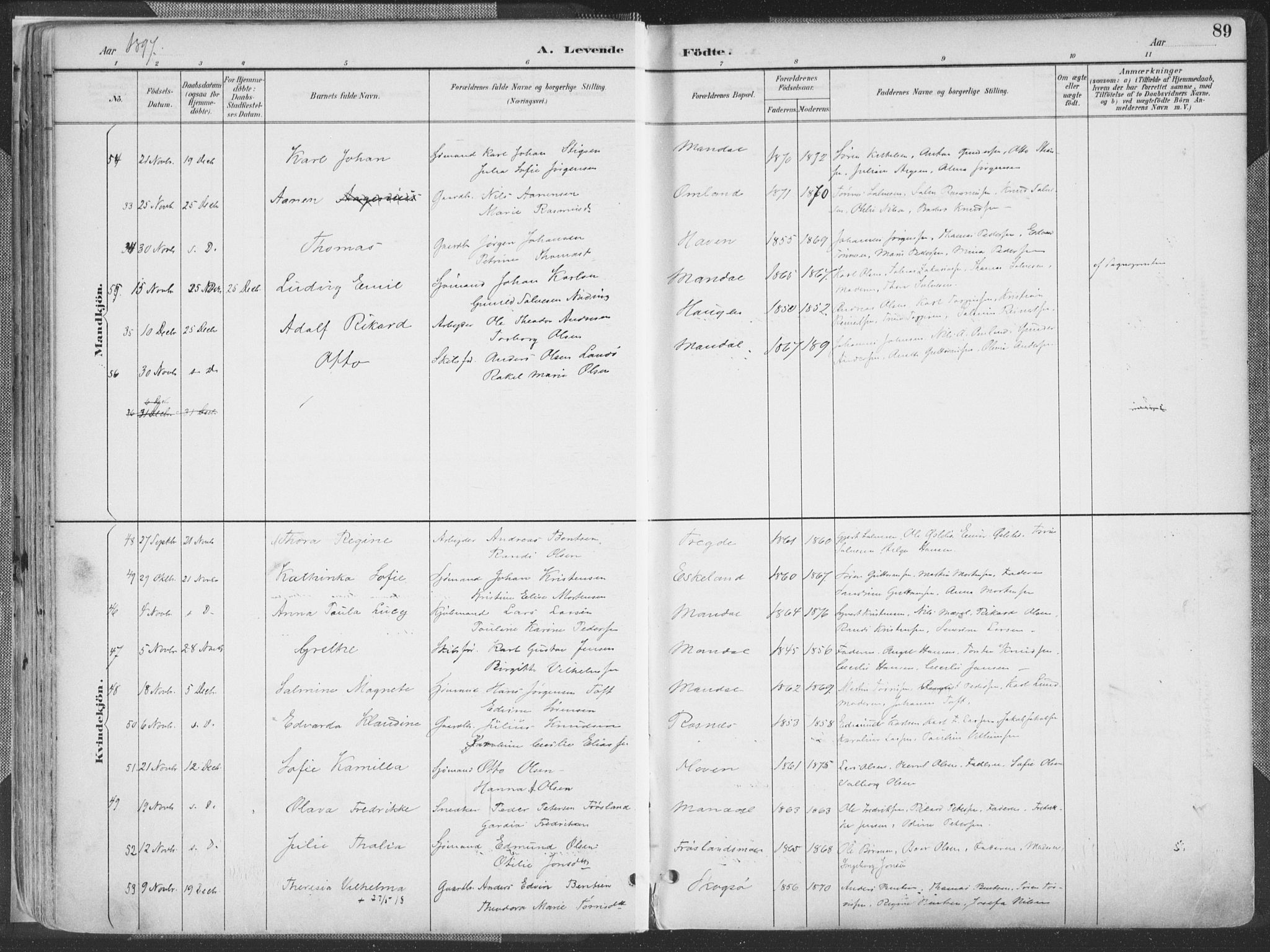 Mandal sokneprestkontor, AV/SAK-1111-0030/F/Fa/Faa/L0018: Parish register (official) no. A 18, 1890-1905, p. 89