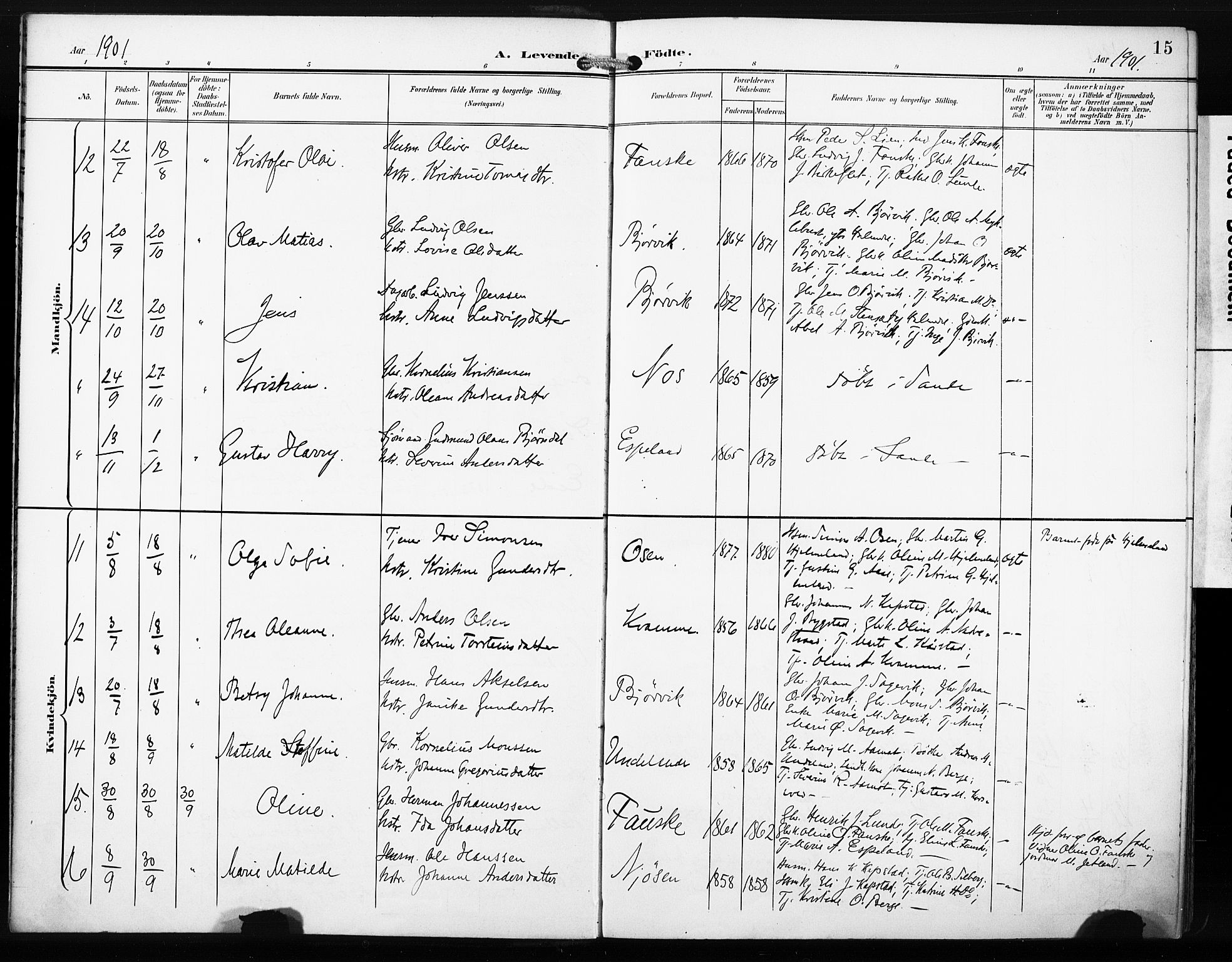 Gaular sokneprestembete, AV/SAB-A-80001/H/Haa: Parish register (official) no. C 2, 1898-1910, p. 15