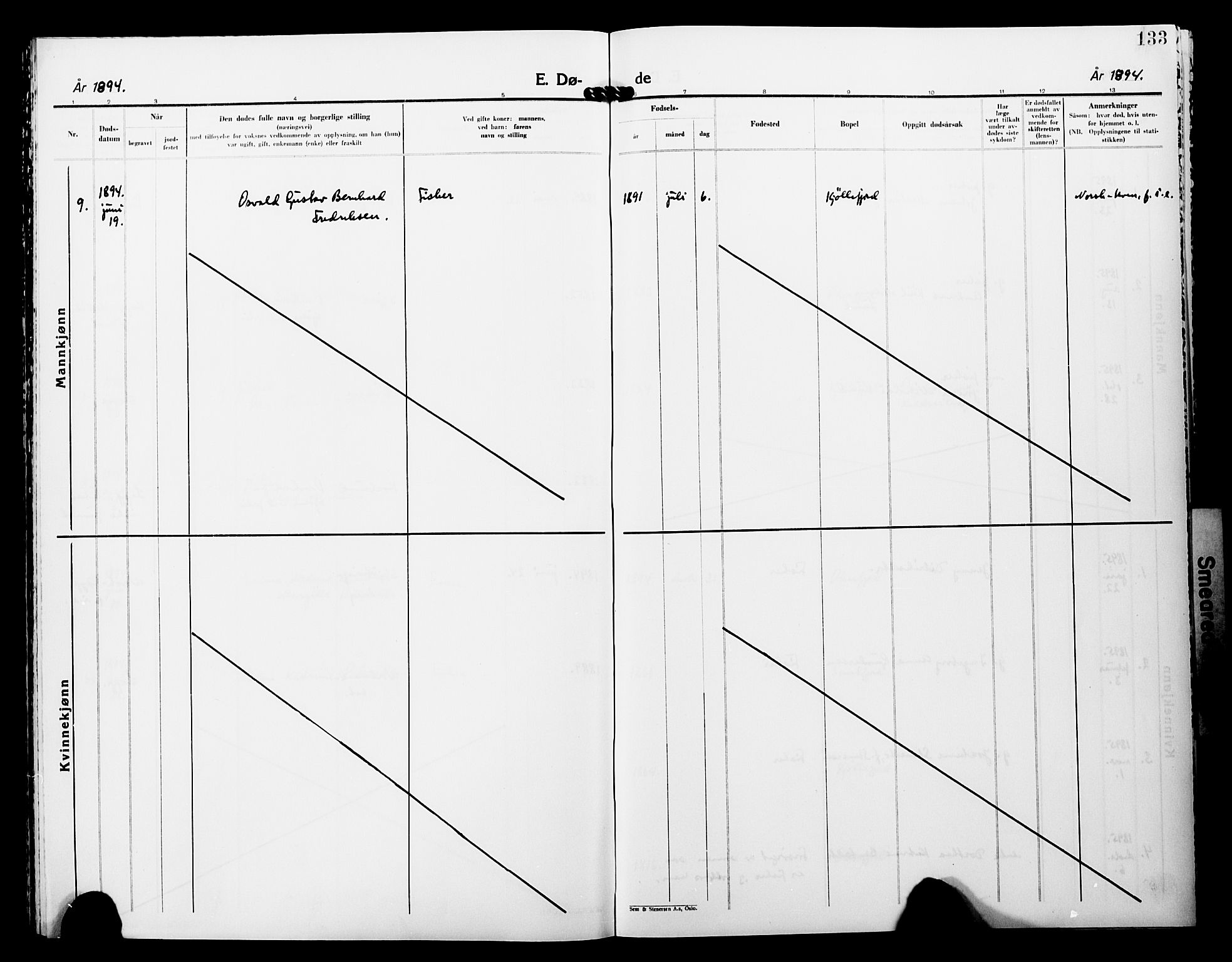 Lebesby sokneprestkontor, AV/SATØ-S-1353/H/Ha/L0005kirke: Parish register (official) no. 5, 1870-1902, p. 133