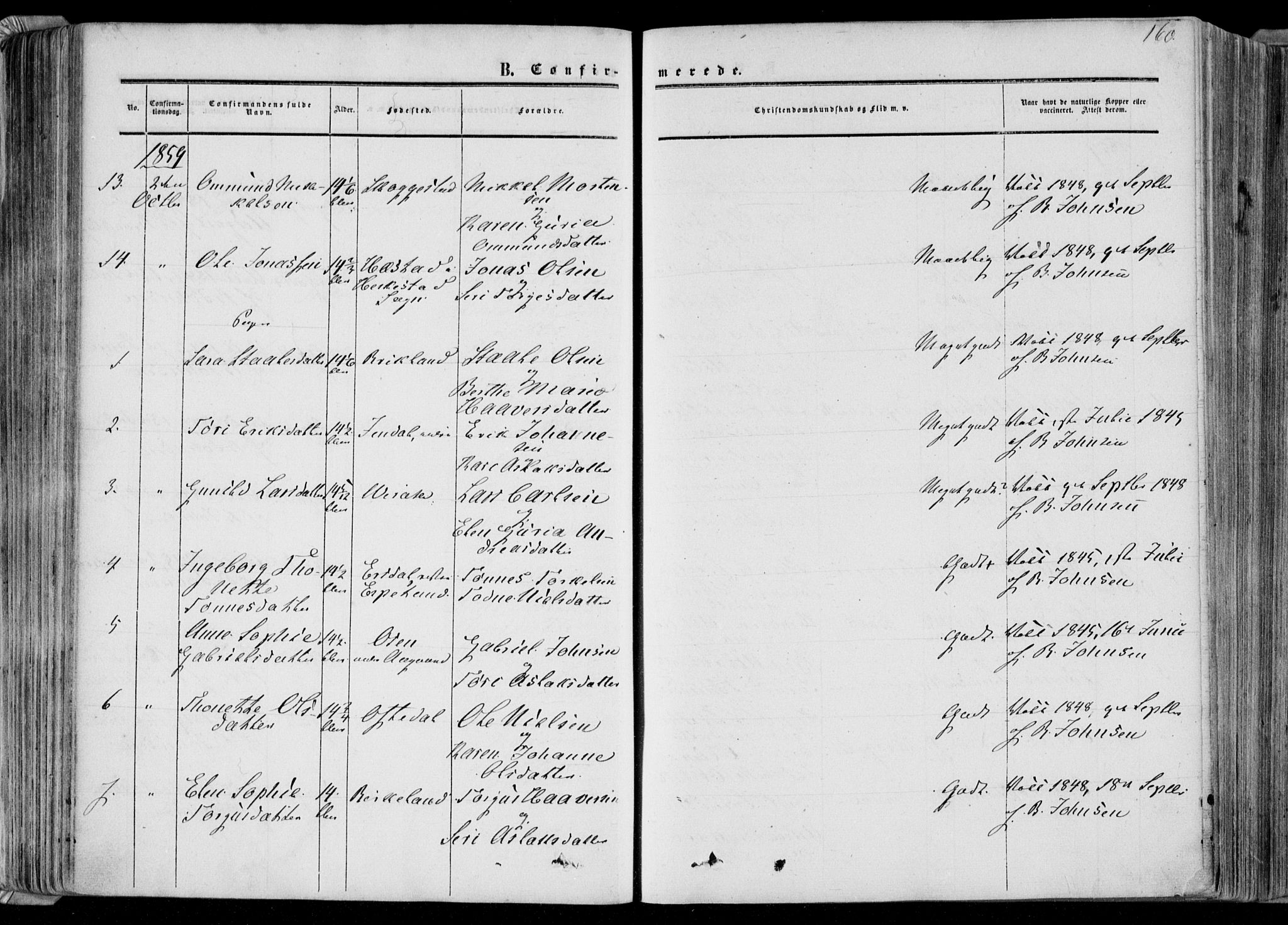 Bakke sokneprestkontor, AV/SAK-1111-0002/F/Fa/Faa/L0006: Parish register (official) no. A 6, 1855-1877, p. 160