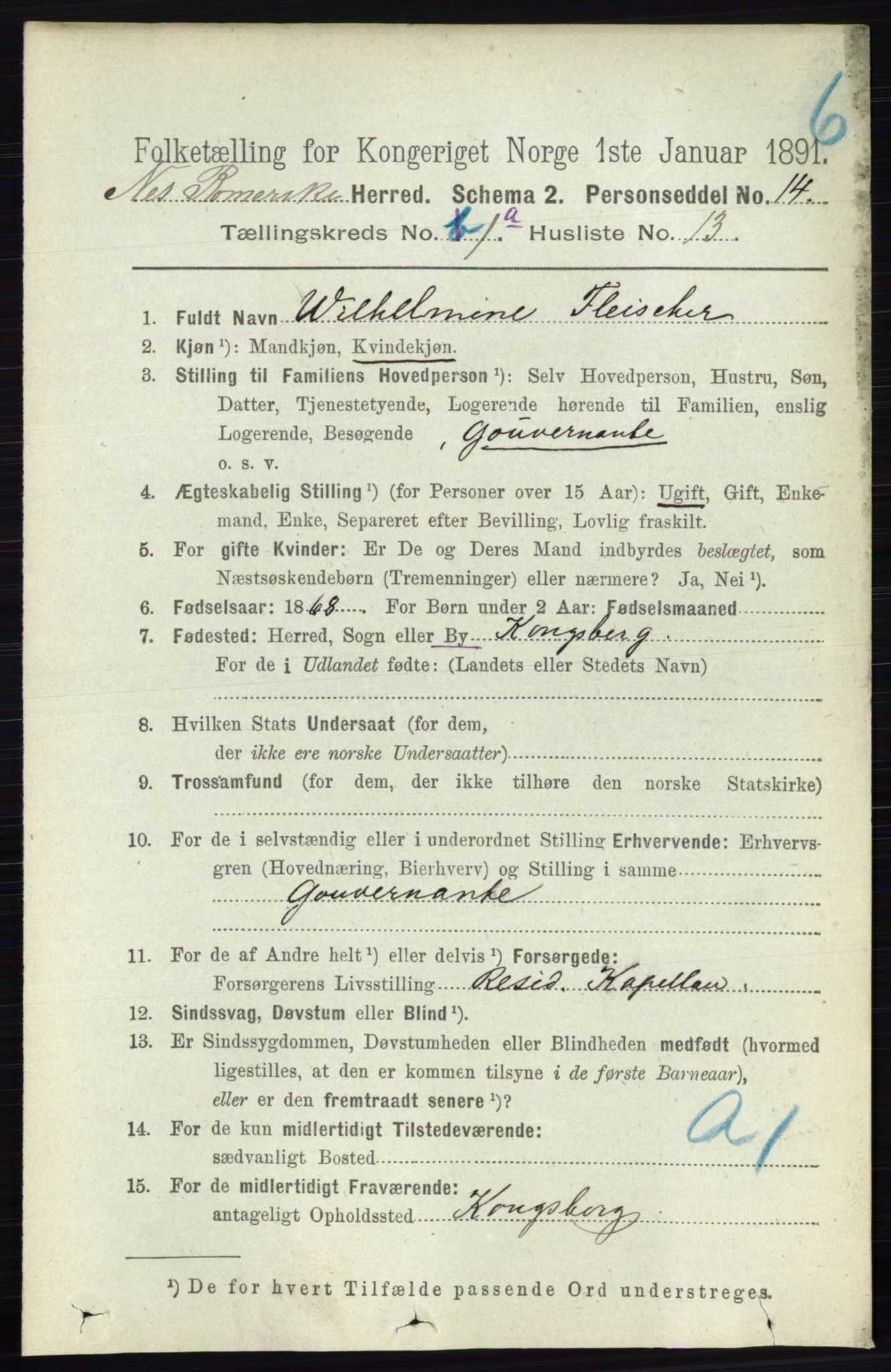 RA, 1891 census for 0236 Nes, 1891, p. 199