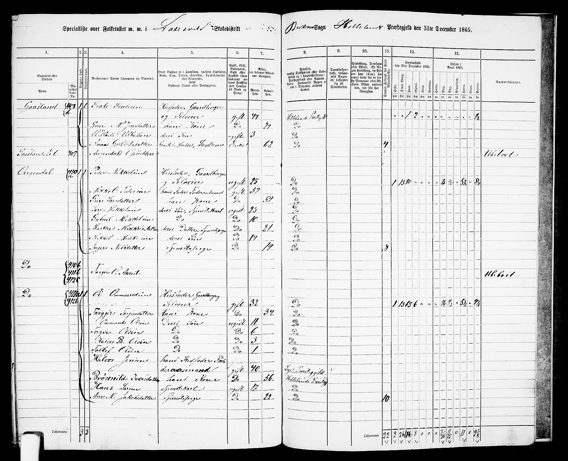 RA, 1865 census for Helleland, 1865, p. 138