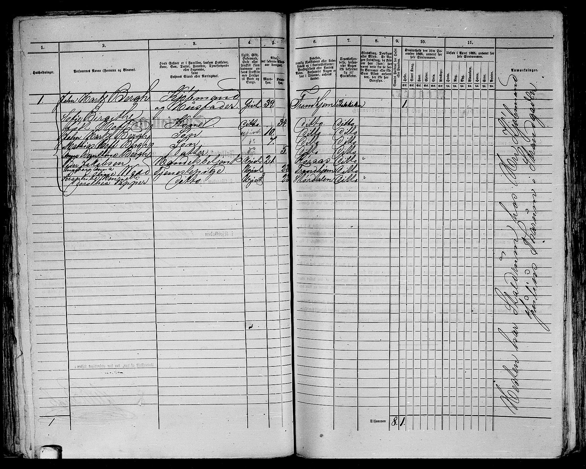 RA, 1865 census for Trondheim, 1865, p. 171