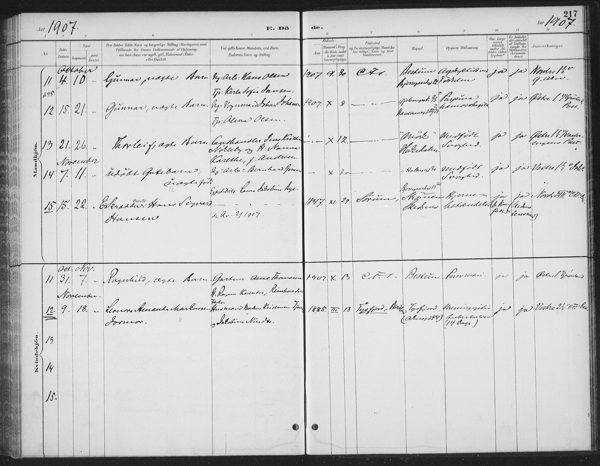 Rikshospitalet prestekontor Kirkebøker, AV/SAO-A-10309b/F/L0010: Parish register (official) no. 10, 1888-1912, p. 217