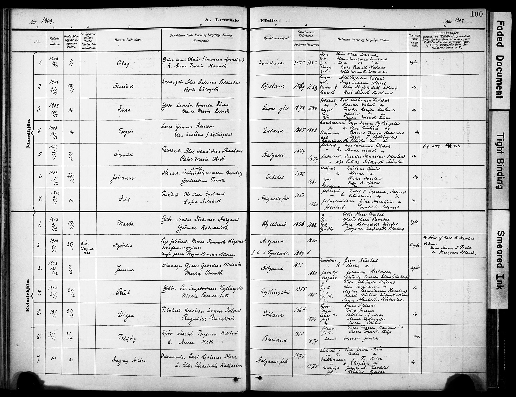 Lye sokneprestkontor, AV/SAST-A-101794/001/30BA/L0012: Parish register (official) no. A 11, 1896-1909, p. 100