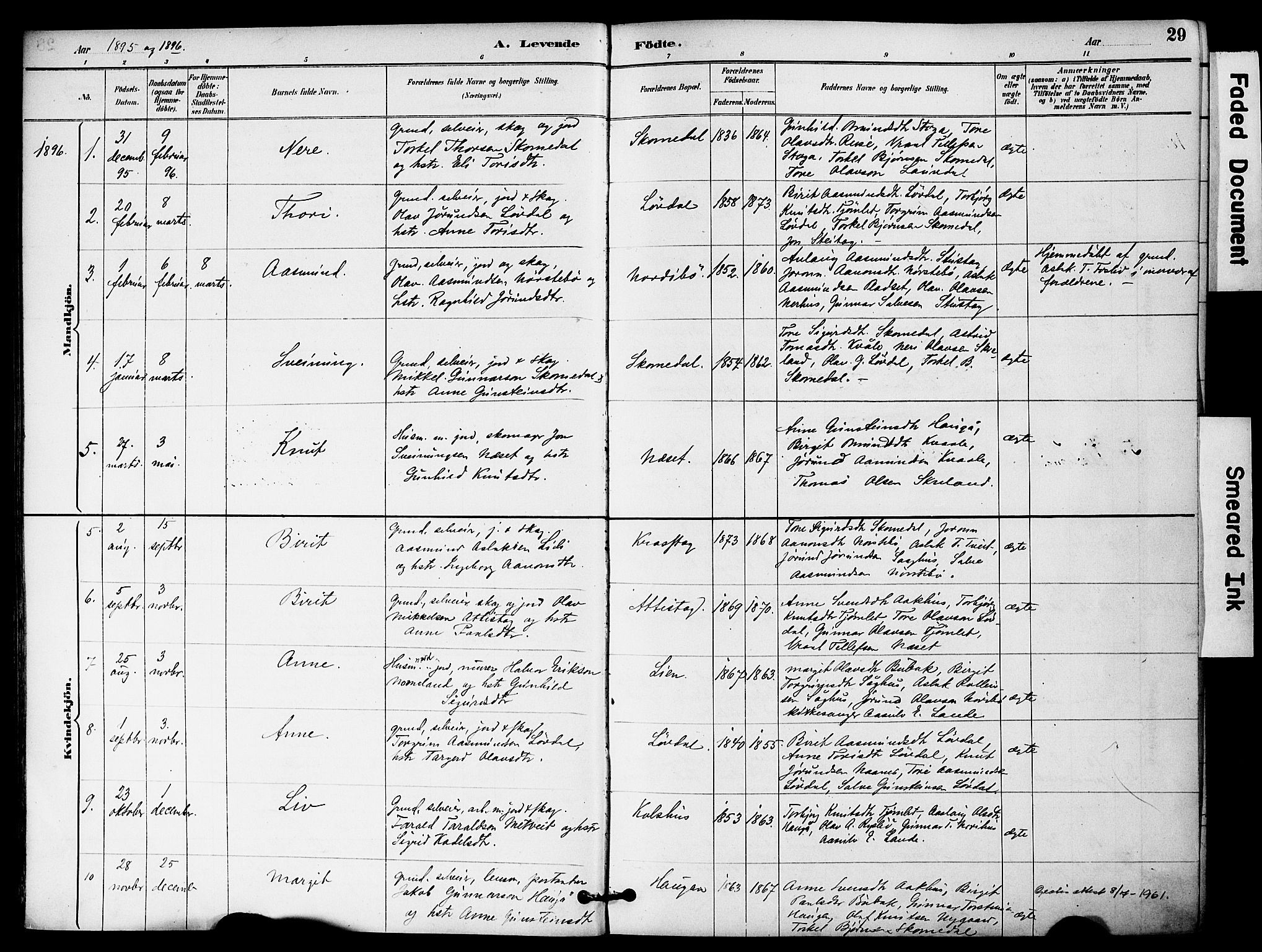 Bygland sokneprestkontor, SAK/1111-0006/F/Fa/Fab/L0007: Parish register (official) no. A 7, 1885-1909, p. 29