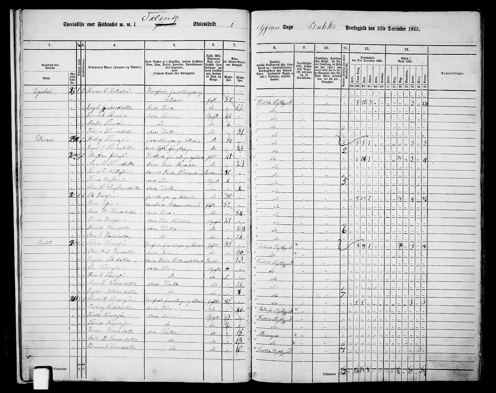 RA, 1865 census for Bakke, 1865, p. 14