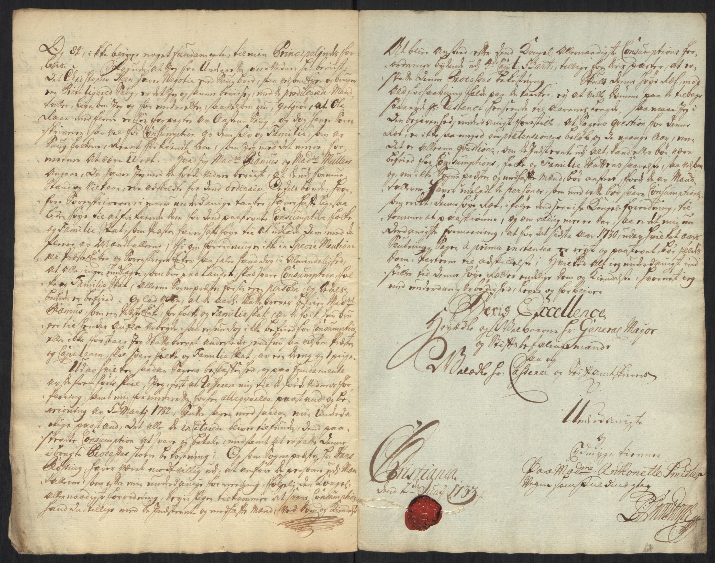 Stattholderembetet 1572-1771, AV/RA-EA-2870/Ef/L0107: Brev fra embetsmenn og andre, 1733-1734, p. 96