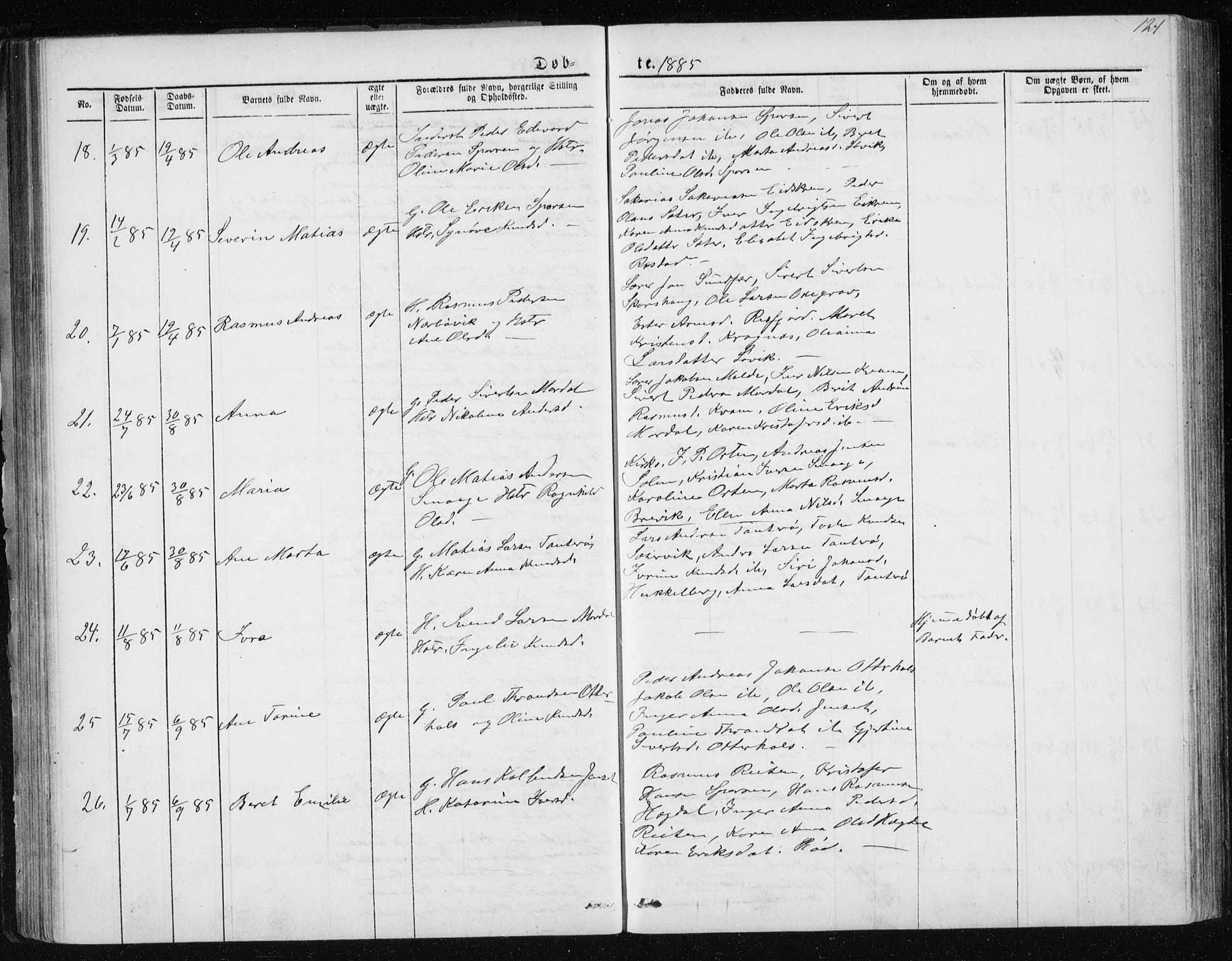 Ministerialprotokoller, klokkerbøker og fødselsregistre - Møre og Romsdal, AV/SAT-A-1454/560/L0724: Parish register (copy) no. 560C01, 1867-1892, p. 121