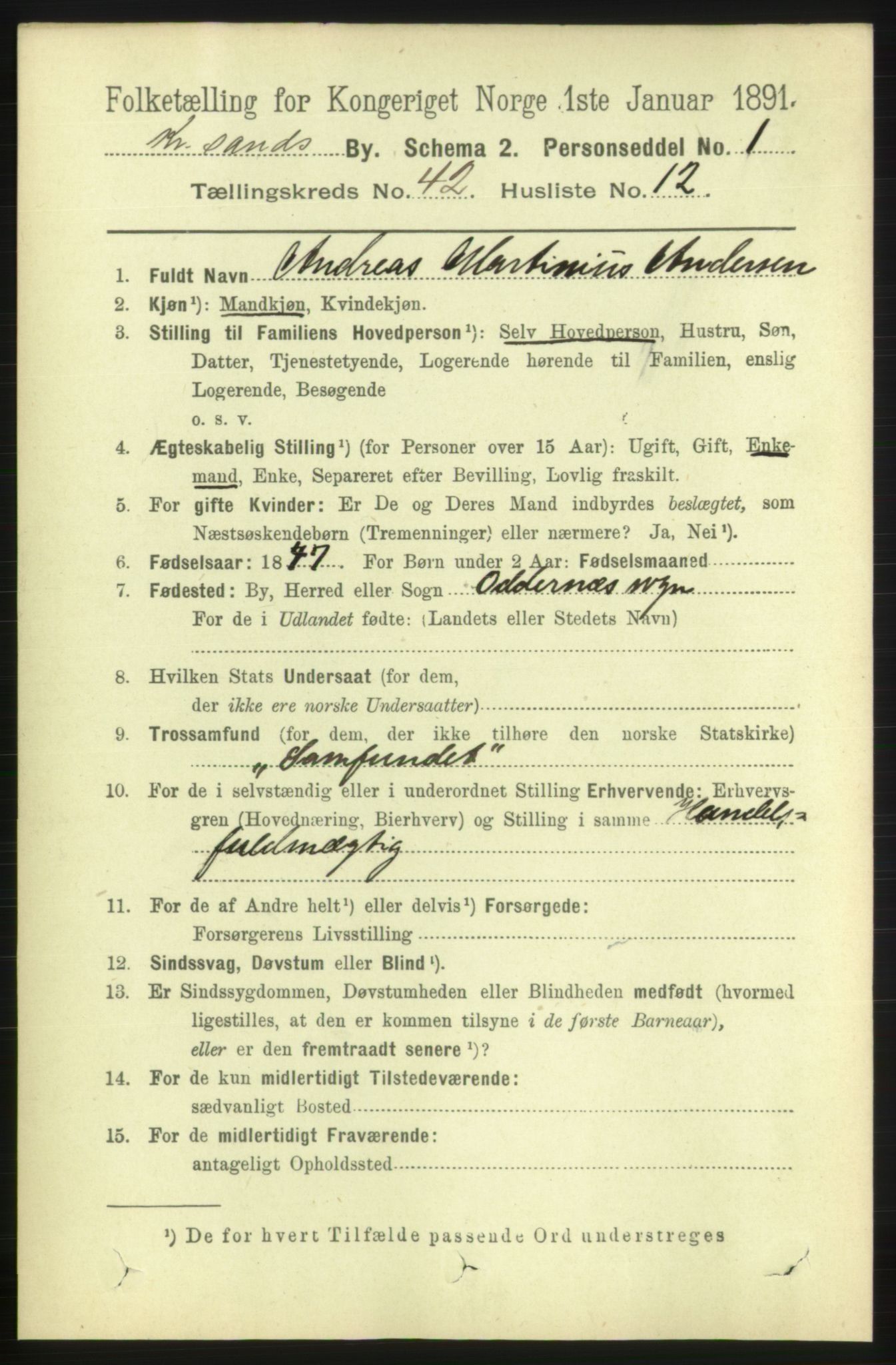 RA, 1891 census for 1001 Kristiansand, 1891, p. 13165