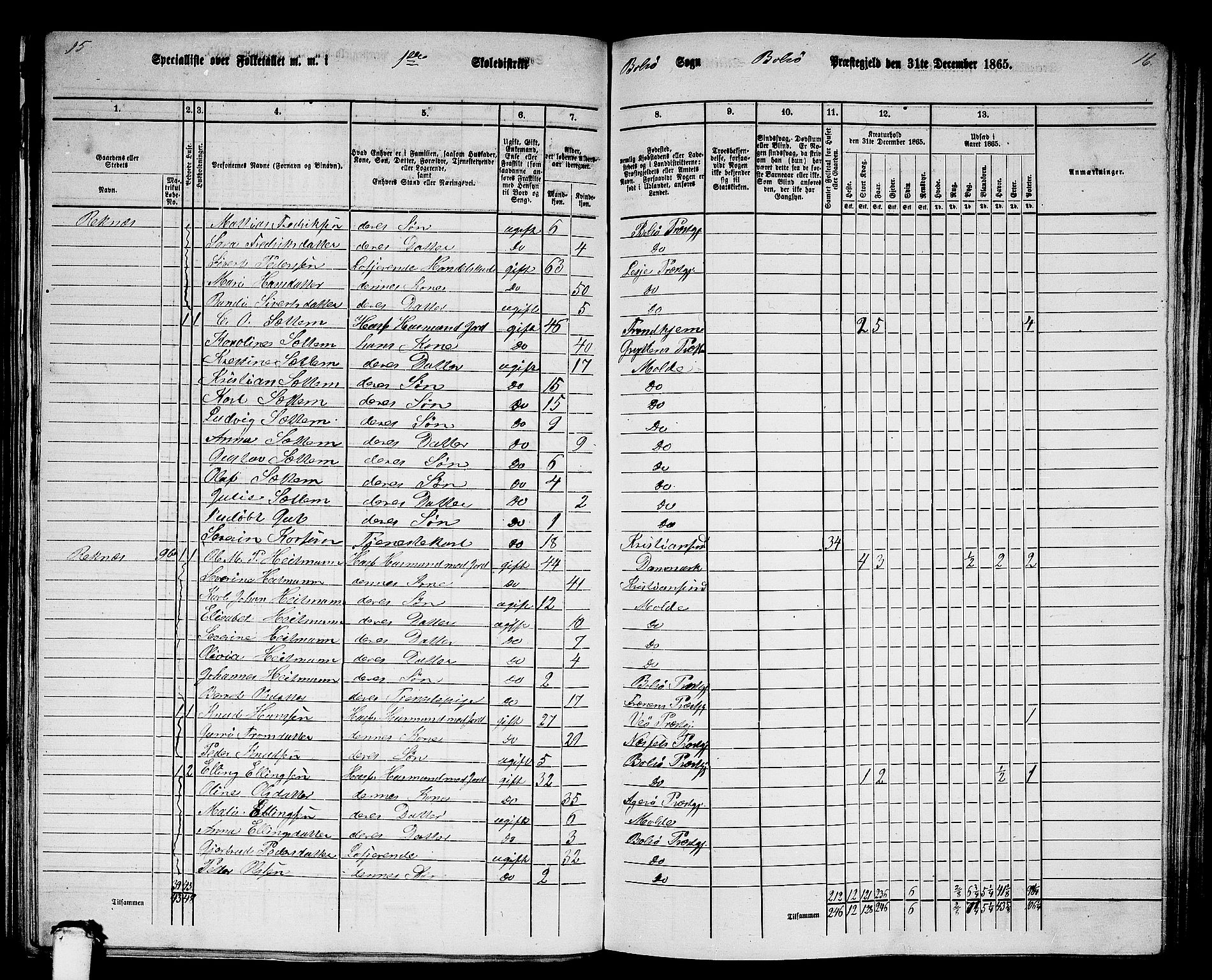 RA, 1865 census for Bolsøy, 1865, p. 15