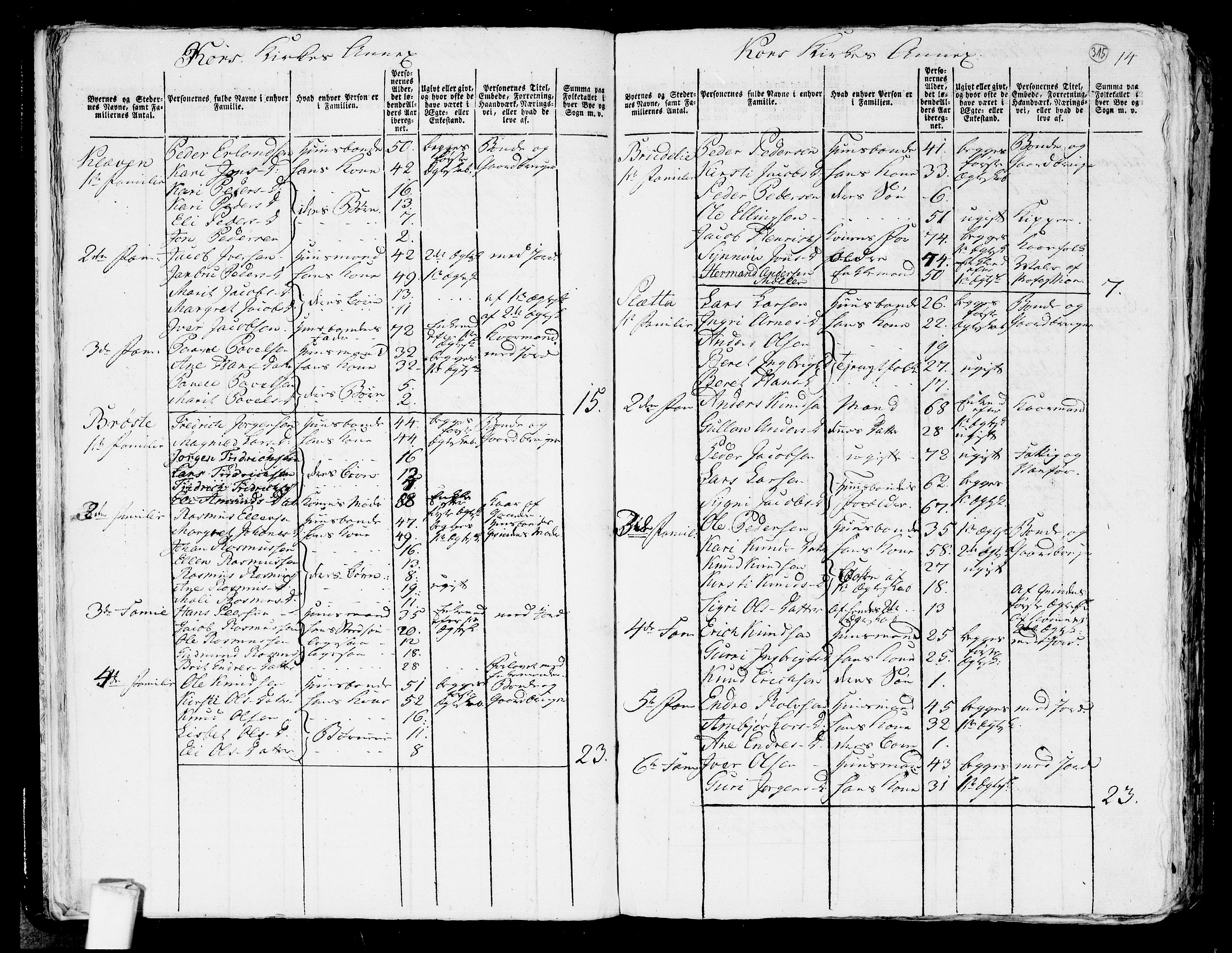 RA, 1801 census for 1539P Grytten, 1801, p. 314b-315a
