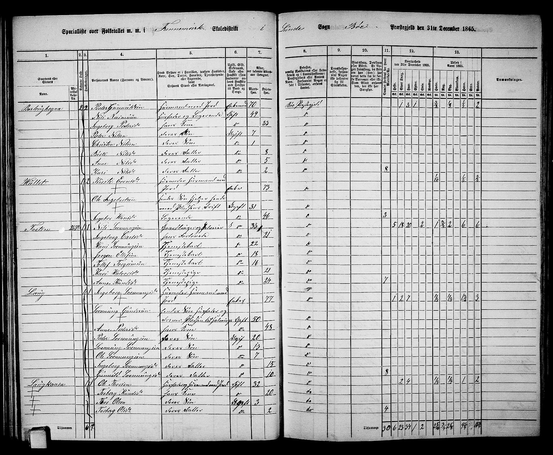 RA, 1865 census for Bø, 1865, p. 34