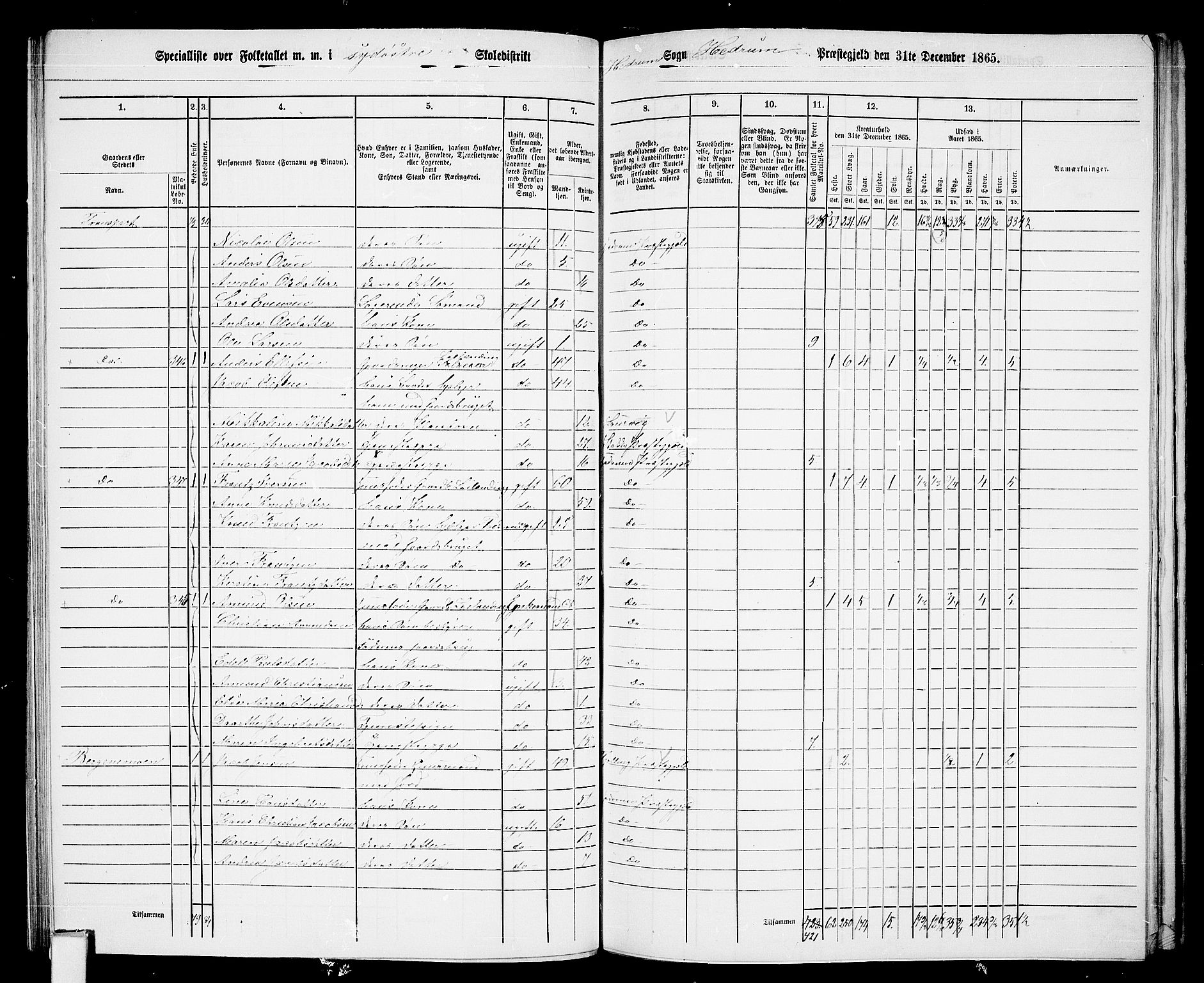 RA, 1865 census for Hedrum, 1865, p. 65