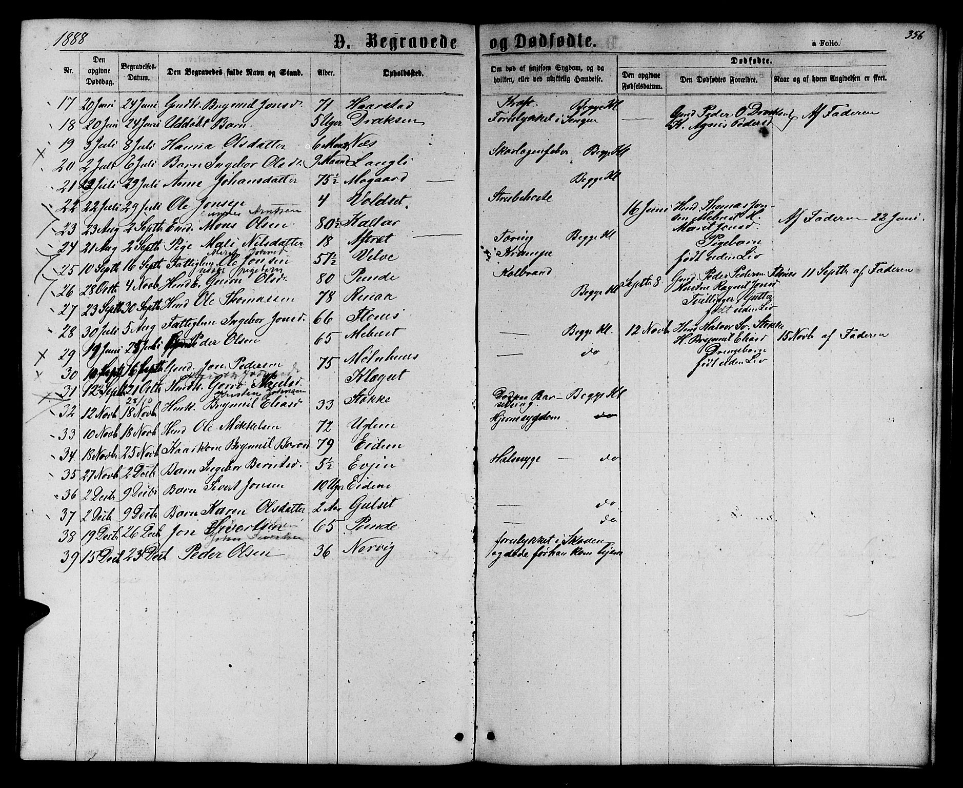 Ministerialprotokoller, klokkerbøker og fødselsregistre - Sør-Trøndelag, SAT/A-1456/695/L1156: Parish register (copy) no. 695C07, 1869-1888, p. 356
