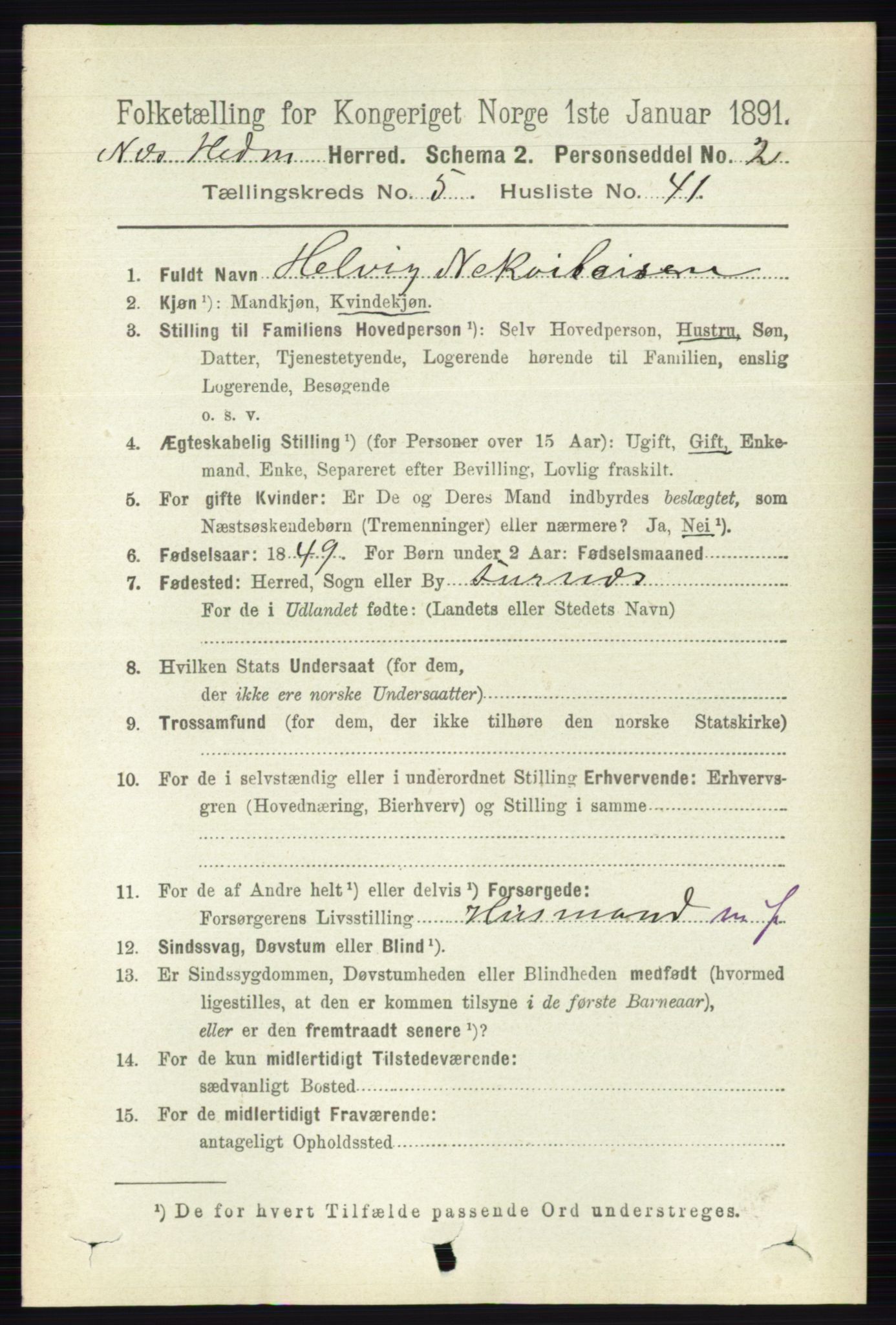 RA, 1891 census for 0411 Nes, 1891, p. 2845