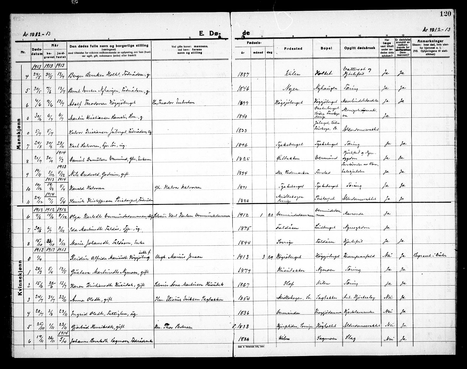 Åsnes prestekontor, AV/SAH-PREST-042/H/Ha/Haa/L0000E: Parish register (official) no. 0C, 1890-1929, p. 120