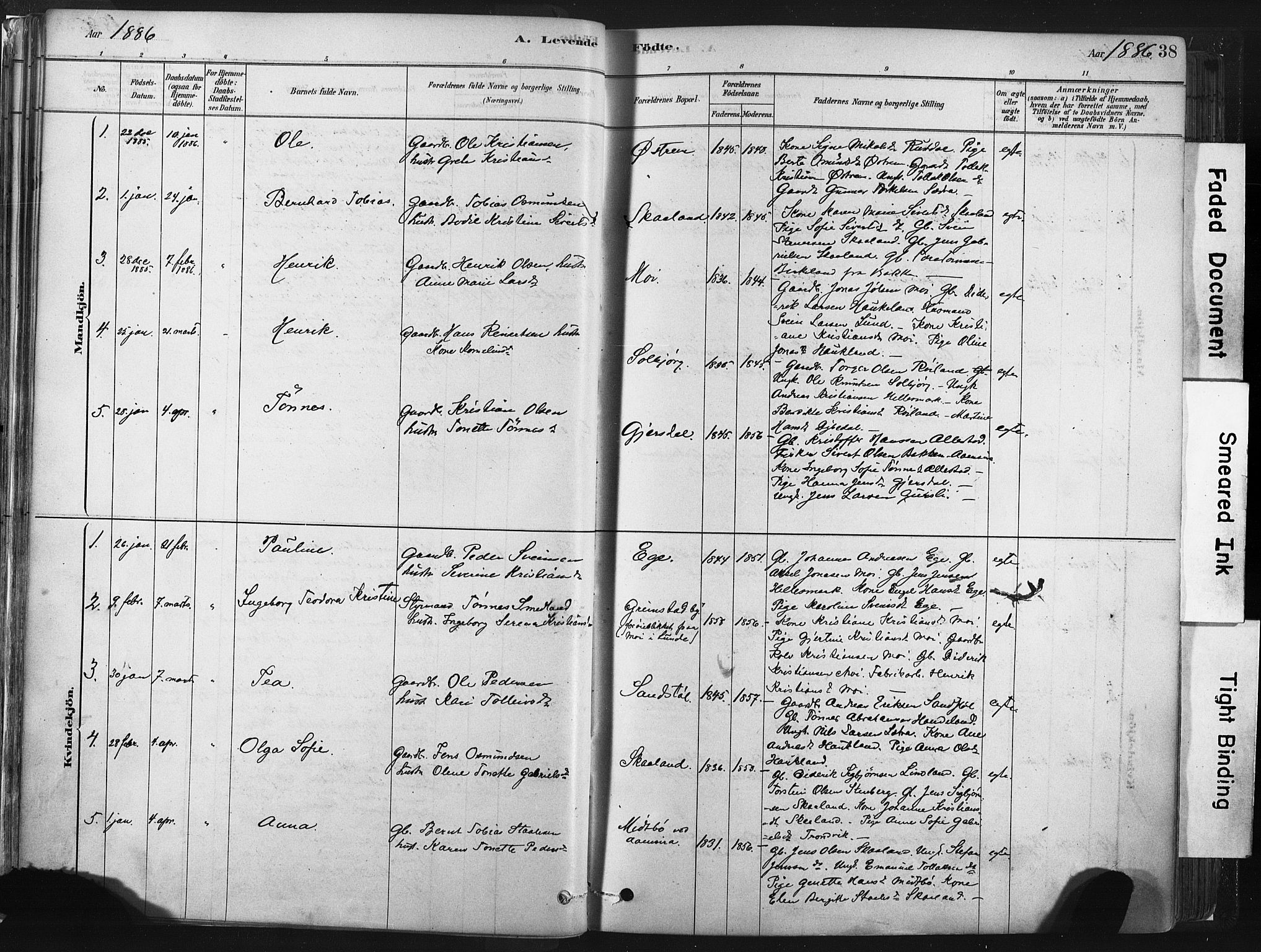 Lund sokneprestkontor, AV/SAST-A-101809/S06/L0011: Parish register (official) no. A 10, 1877-1904, p. 38