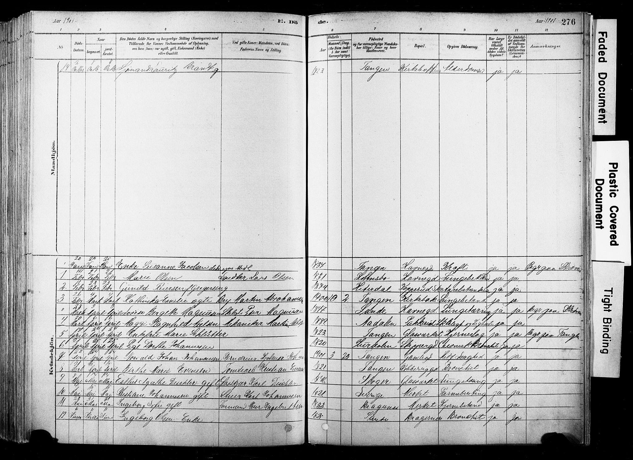 Strømsø kirkebøker, SAKO/A-246/F/Fb/L0006: Parish register (official) no. II 6, 1879-1910, p. 276