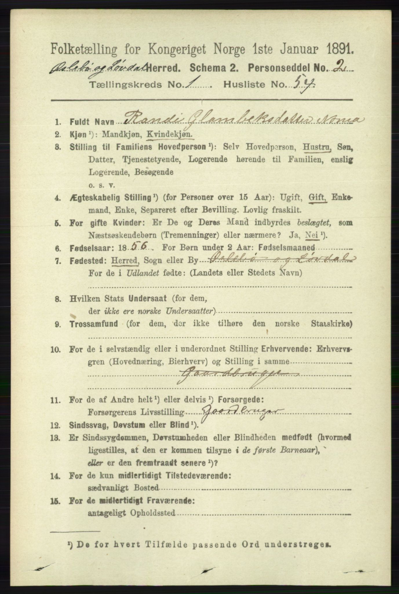 RA, 1891 census for 1021 Øyslebø og Laudal, 1891, p. 419