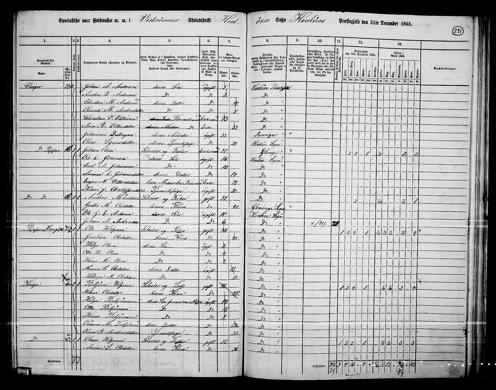 RA, 1865 census for Hvaler, 1865, p. 65