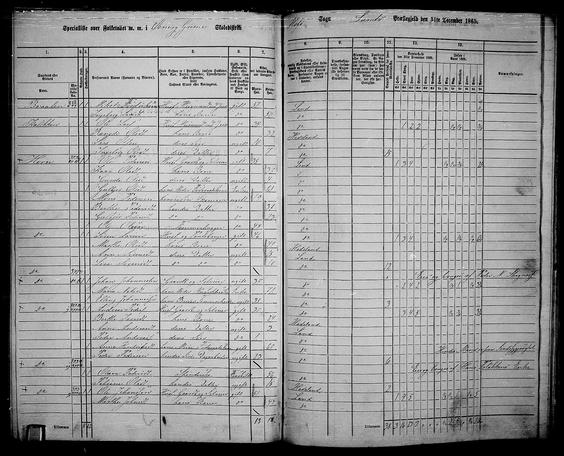 RA, 1865 census for Land, 1865, p. 388