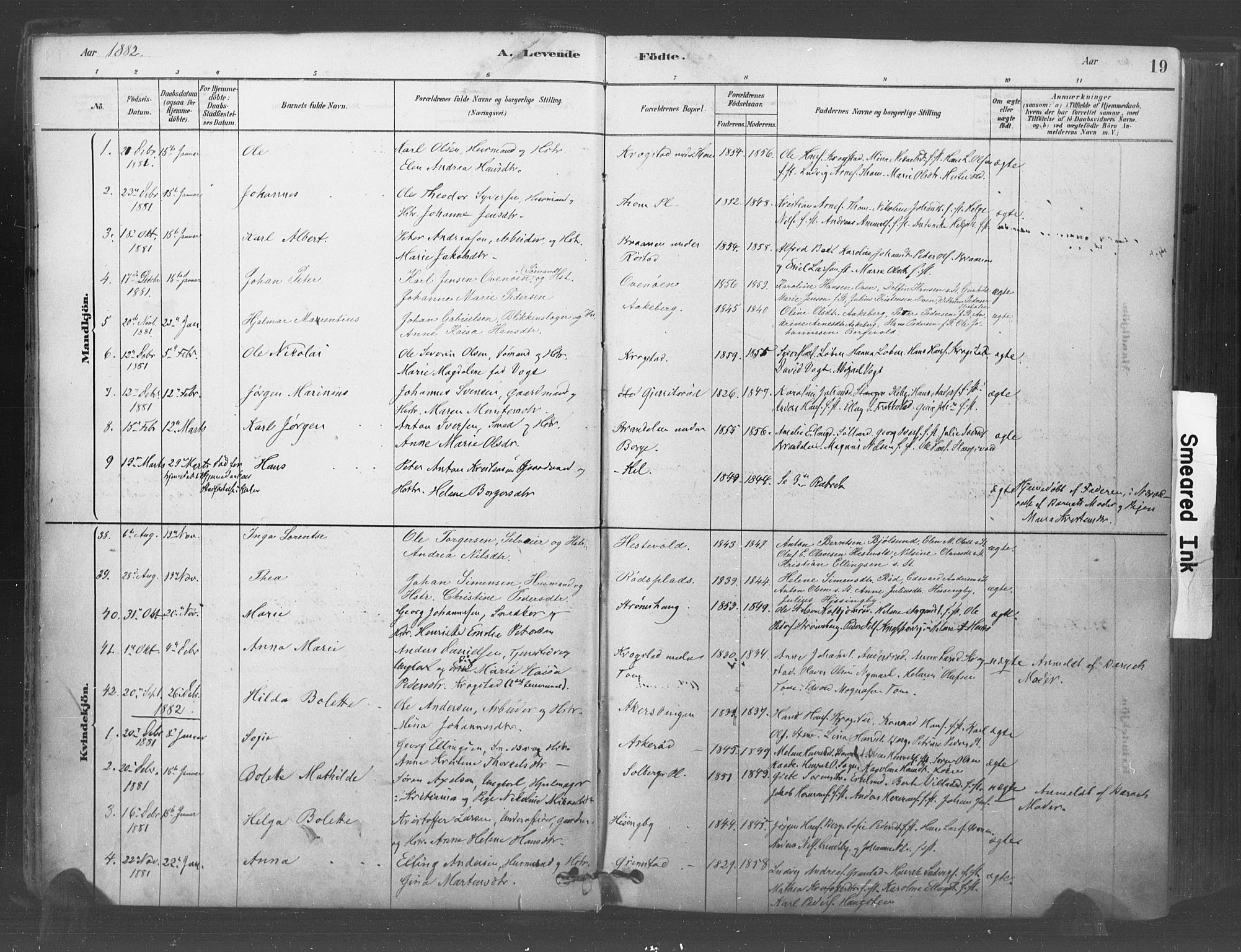 Råde prestekontor kirkebøker, AV/SAO-A-2009/F/Fa/L0007: Parish register (official) no. 7, 1878-1902, p. 19