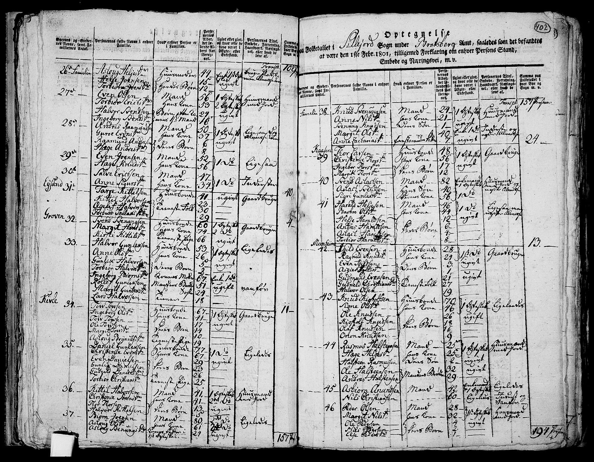 RA, 1801 census for 0828P Seljord, 1801, p. 401b-402a