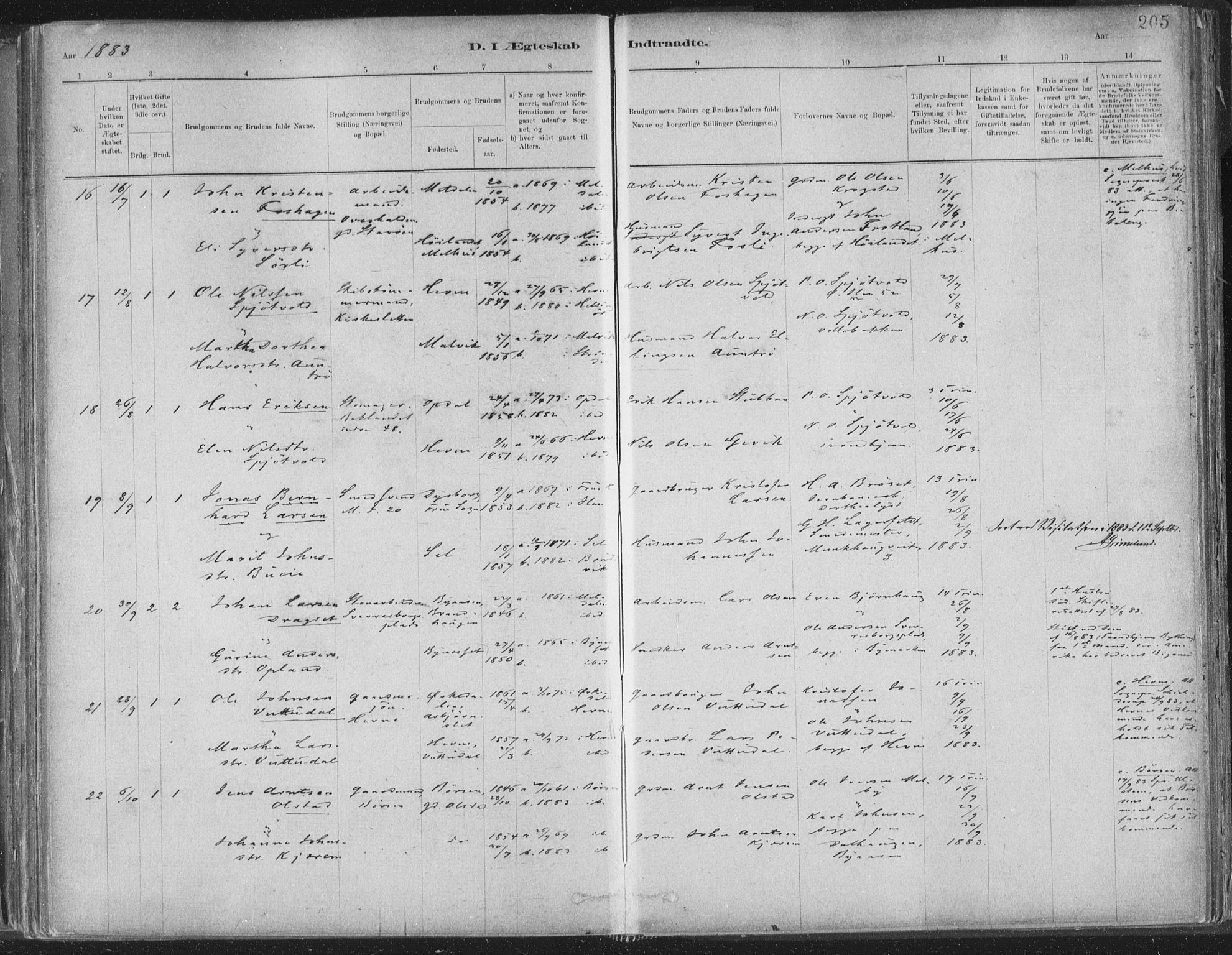 Ministerialprotokoller, klokkerbøker og fødselsregistre - Sør-Trøndelag, AV/SAT-A-1456/603/L0162: Parish register (official) no. 603A01, 1879-1895, p. 205