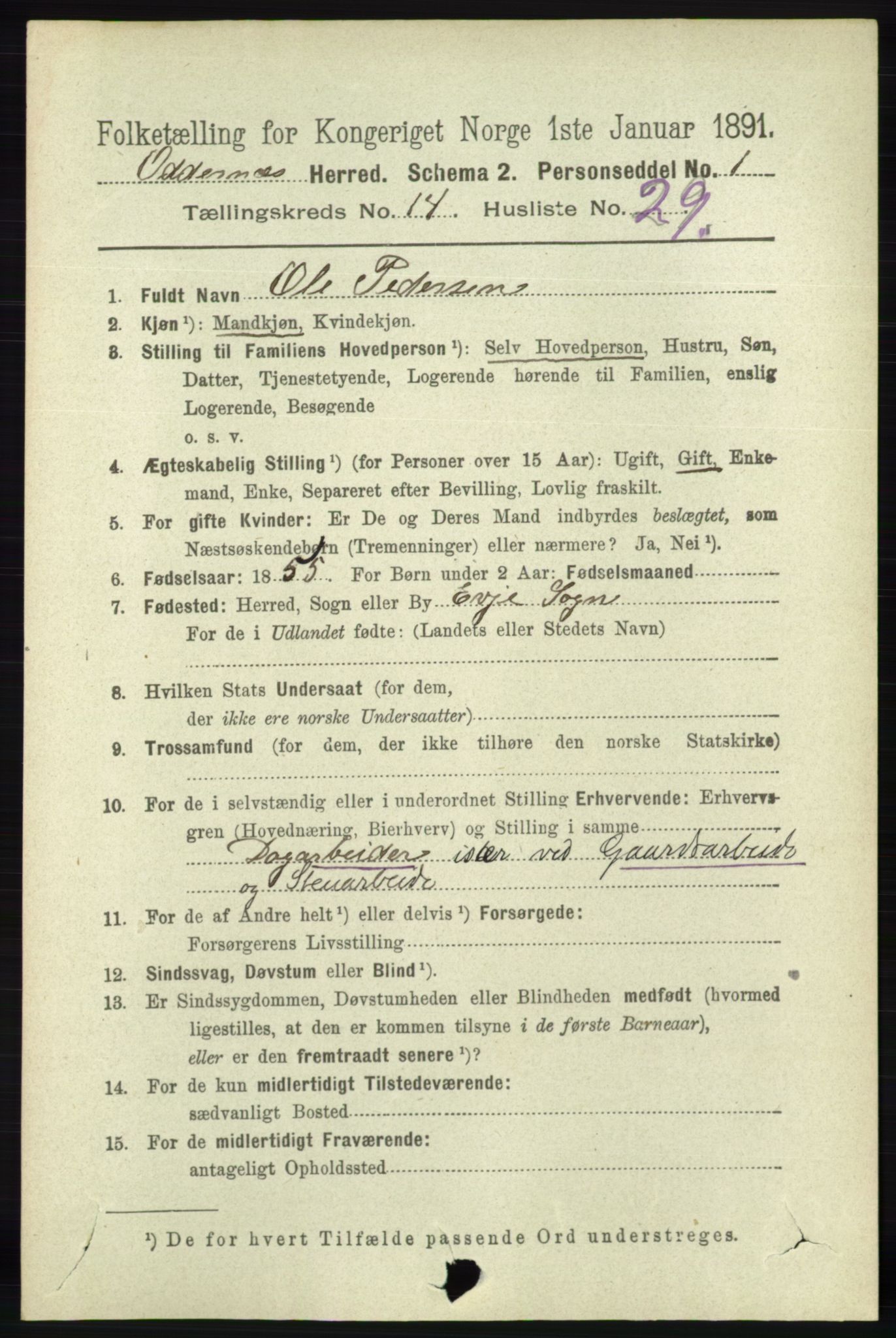 RA, 1891 census for 1012 Oddernes, 1891, p. 5006