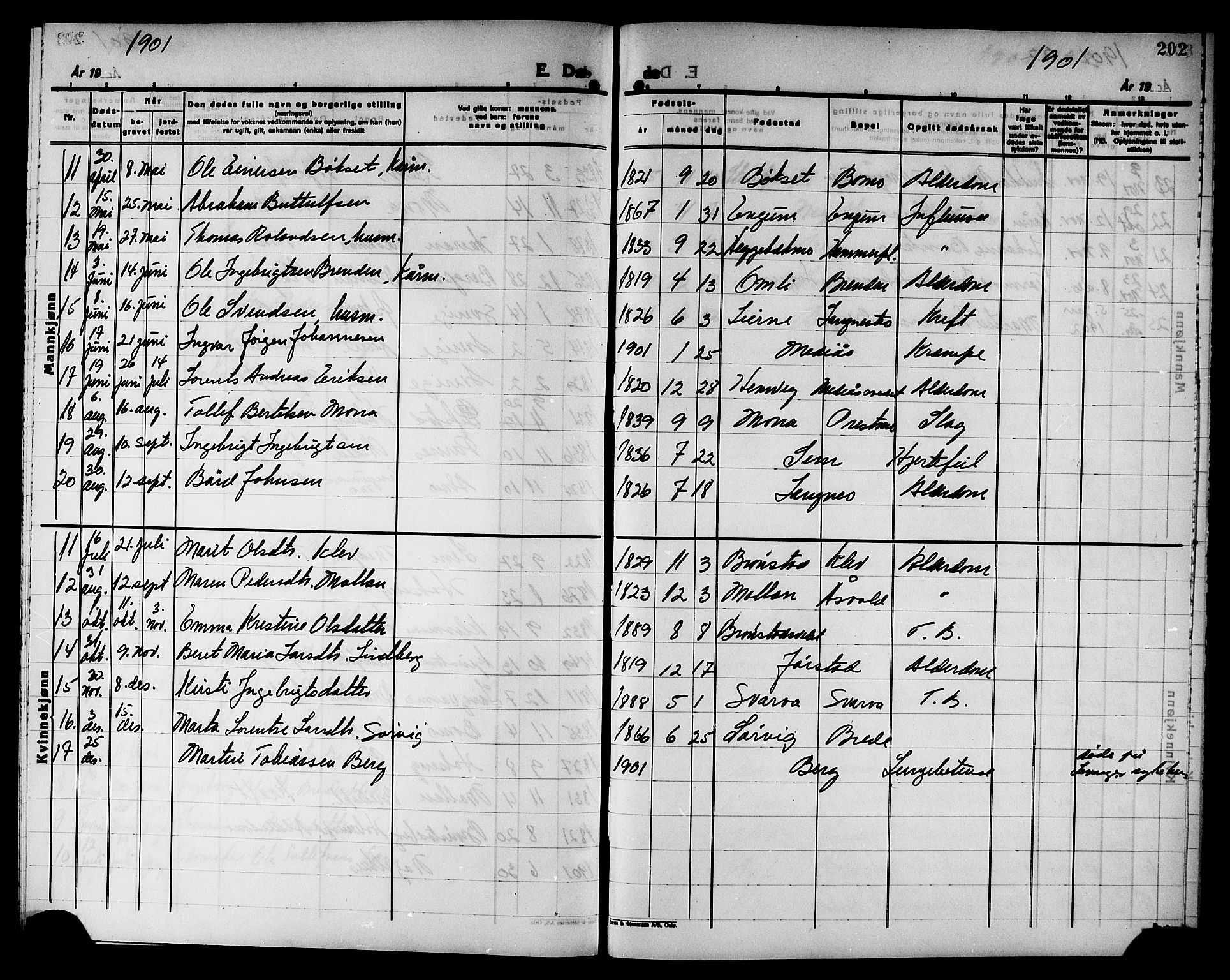 Ministerialprotokoller, klokkerbøker og fødselsregistre - Nord-Trøndelag, SAT/A-1458/749/L0487: Parish register (official) no. 749D03, 1887-1902, p. 202